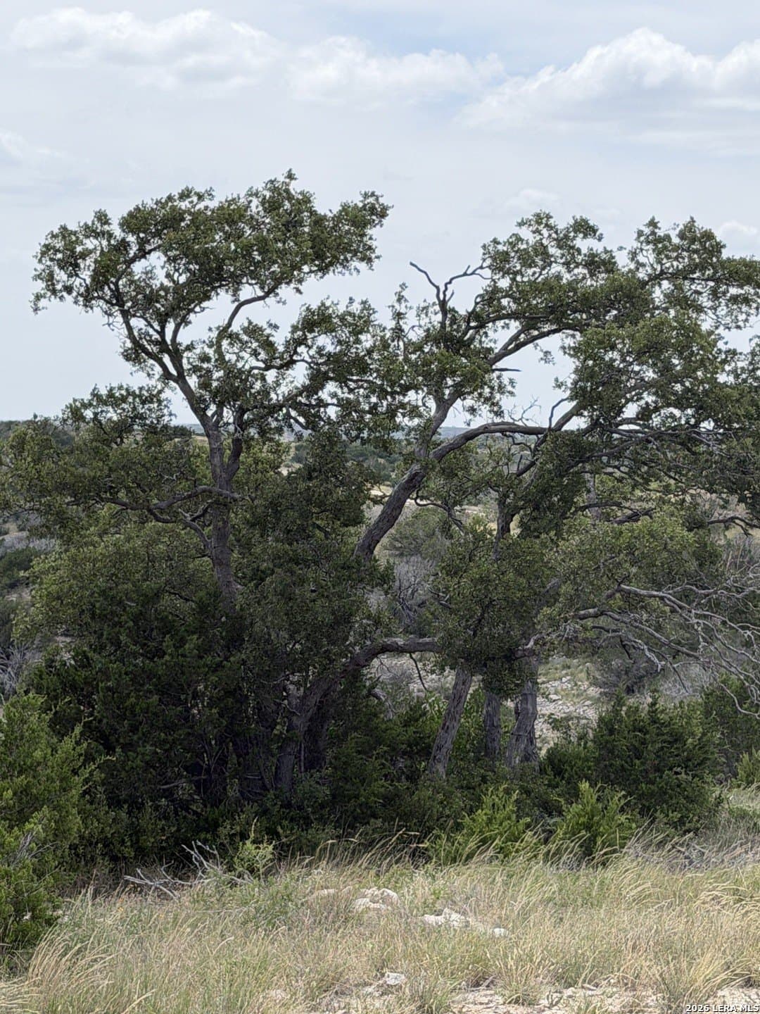 40.34 acres in Edwards County - photo 44