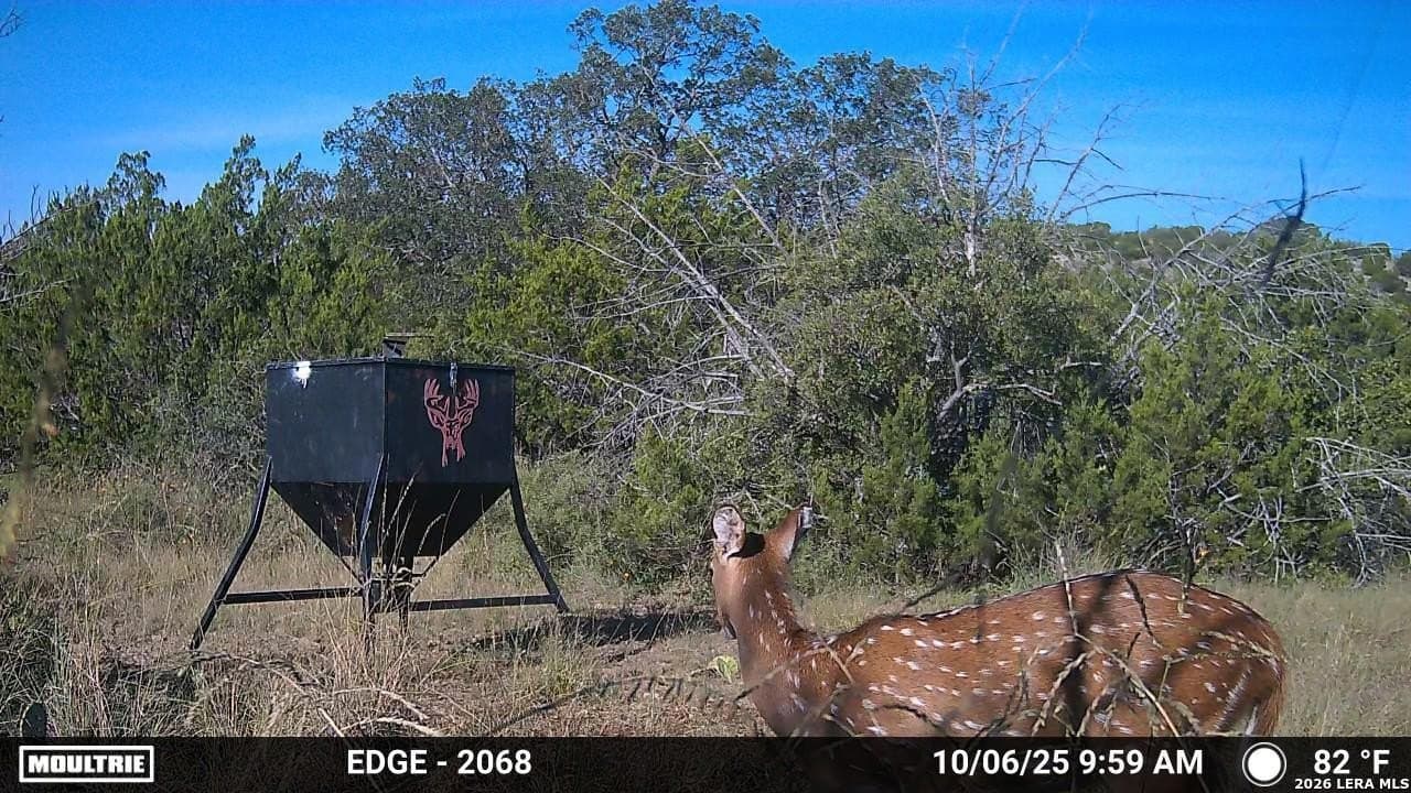 40.34 acres in Edwards County - photo 13