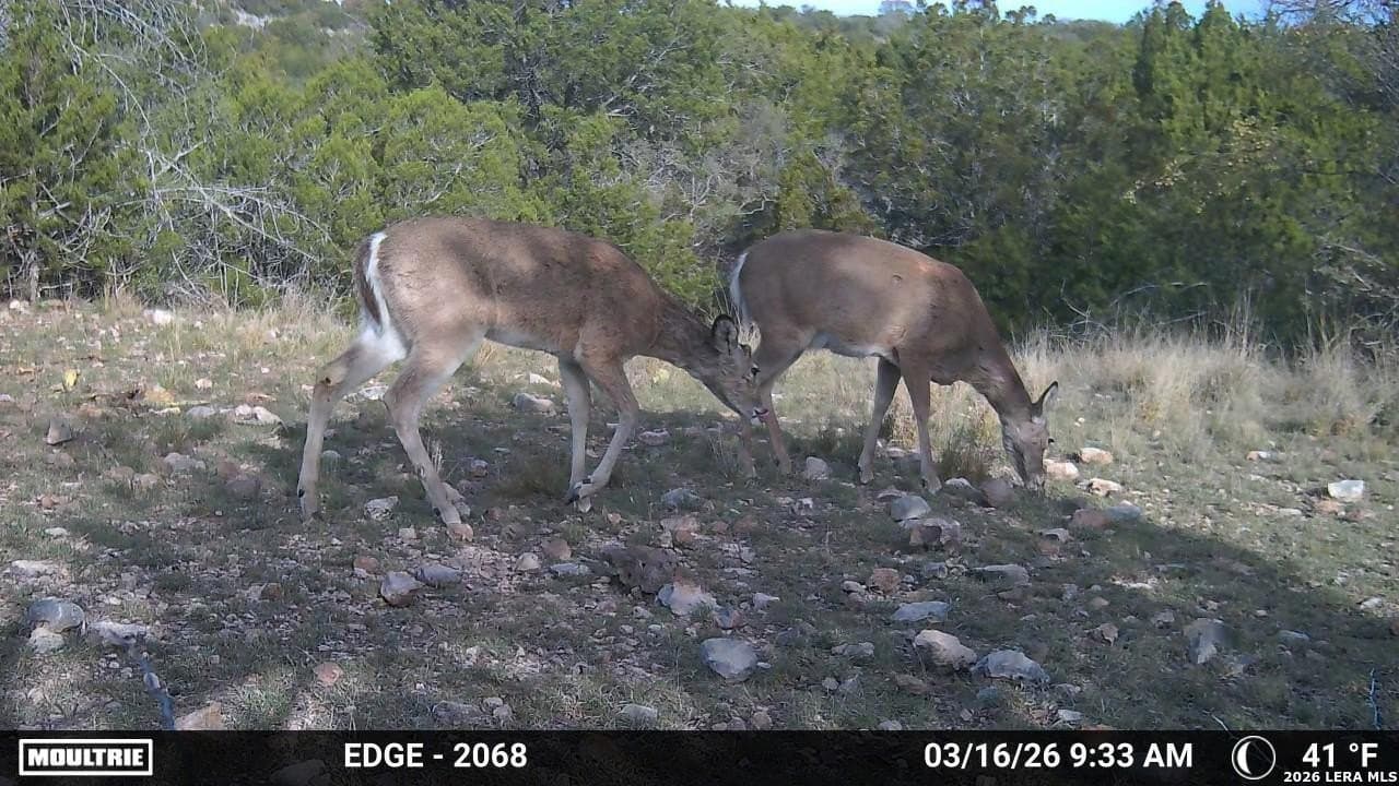 40.34 acres in Edwards County gallery image 4