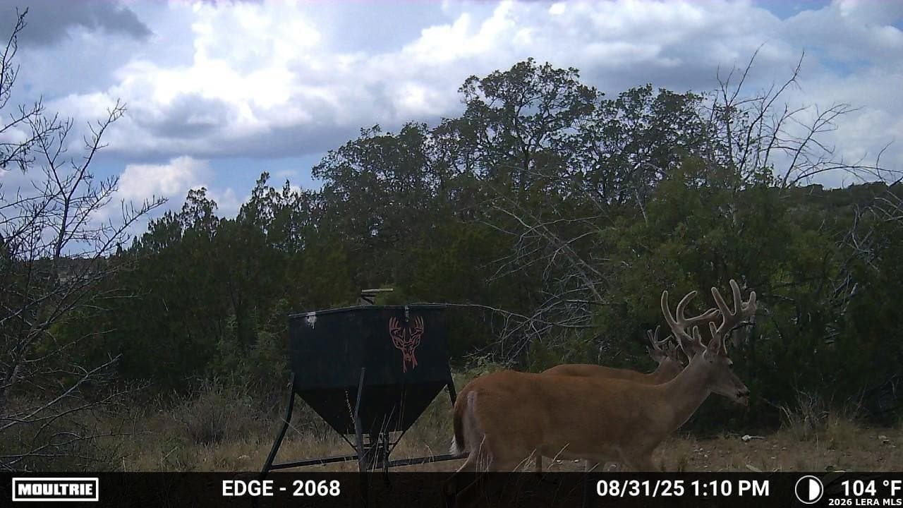 40.34 acres in Edwards County - photo 12