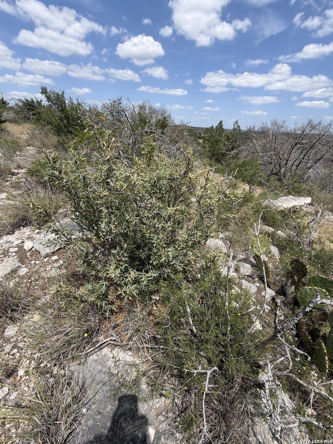 40.34 acres in Edwards County - photo 36