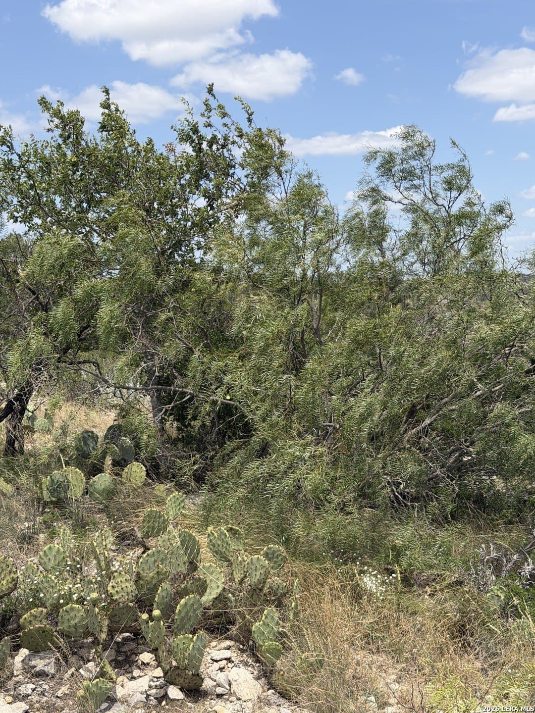 40.34 acres in Edwards County - photo 40