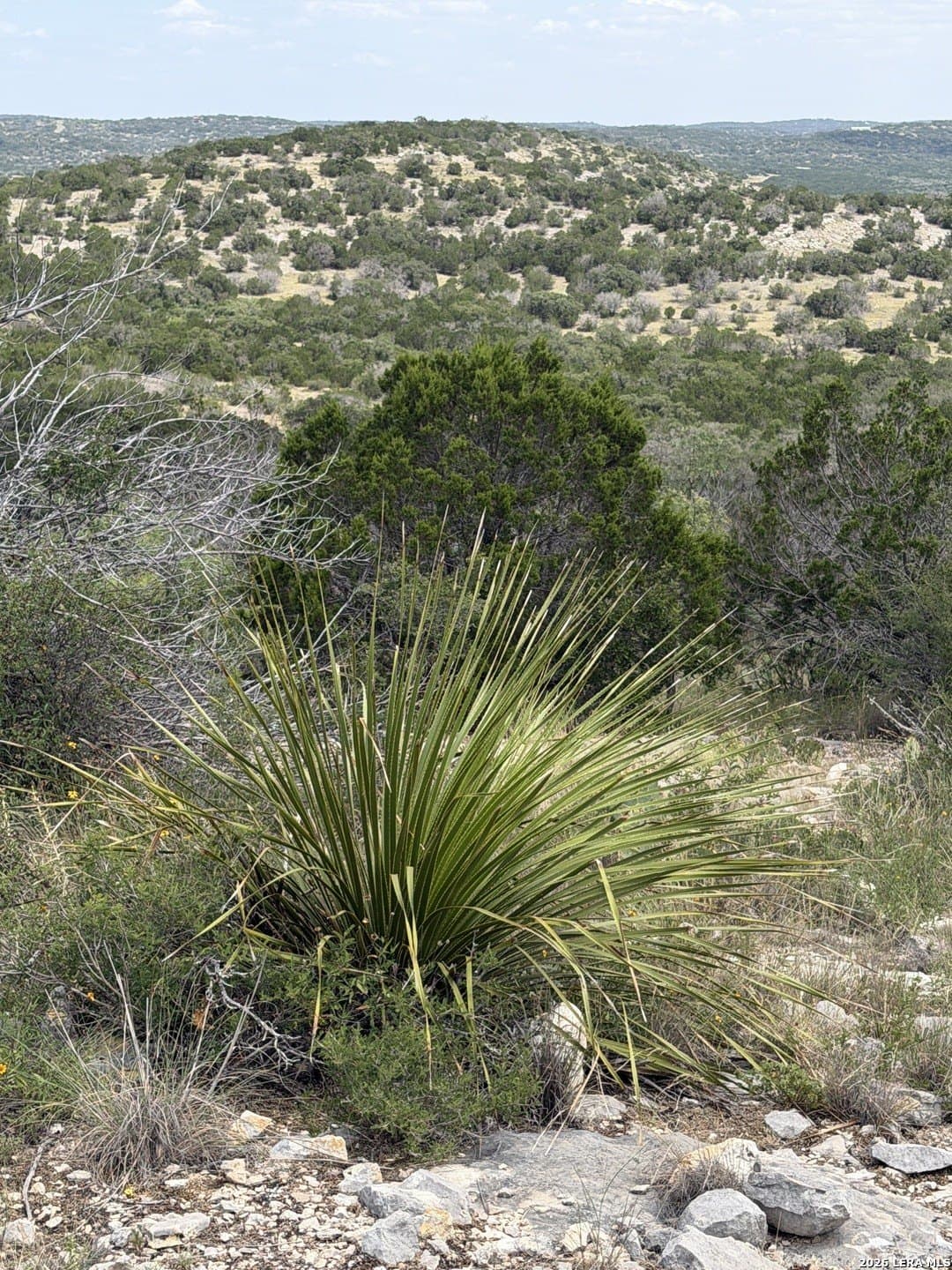 40.34 acres in Edwards County - photo 32