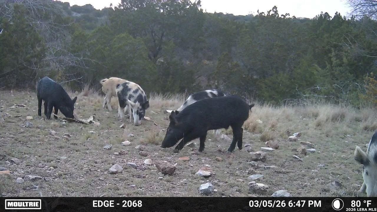 40.34 acres in Edwards County gallery image 3