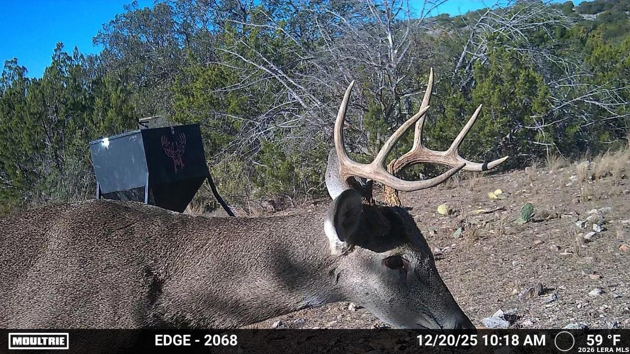 40.34 acres in Edwards County gallery image 2