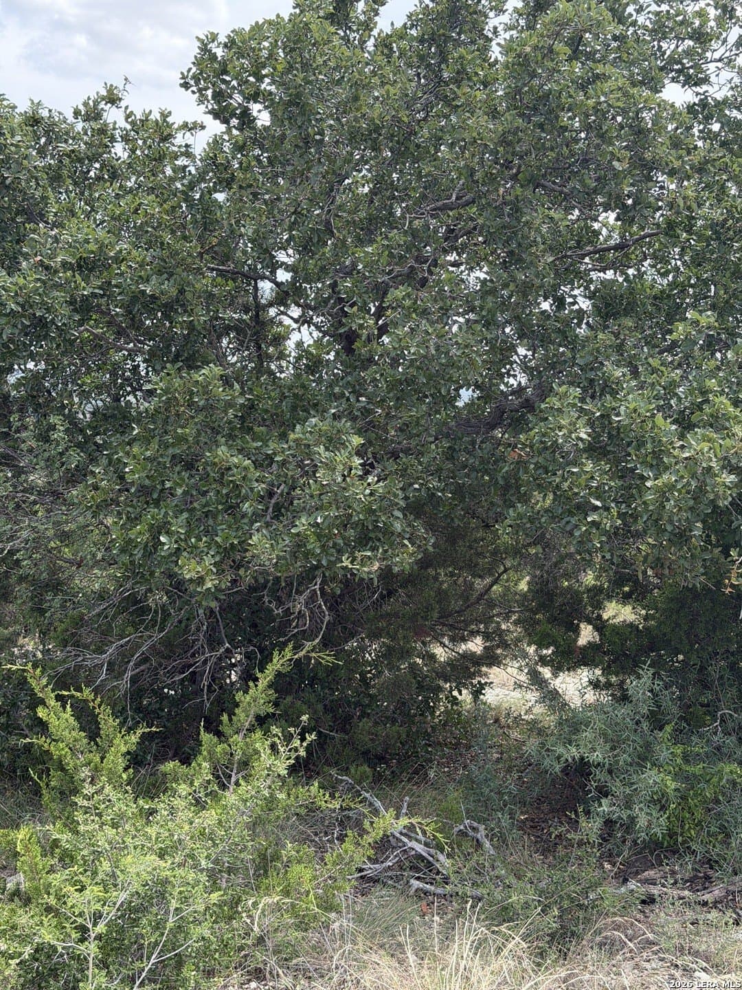 40.34 acres in Edwards County - photo 29