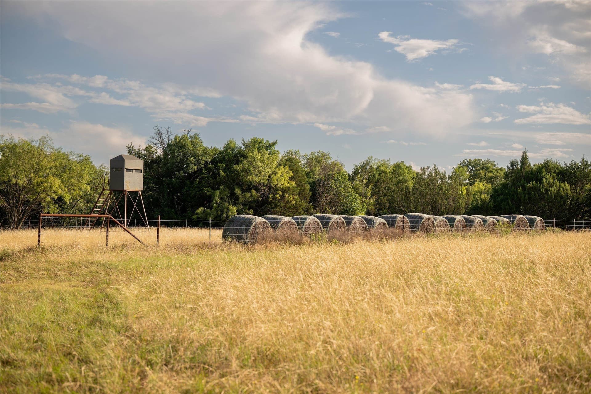 283 acres in Erath County - photo 4