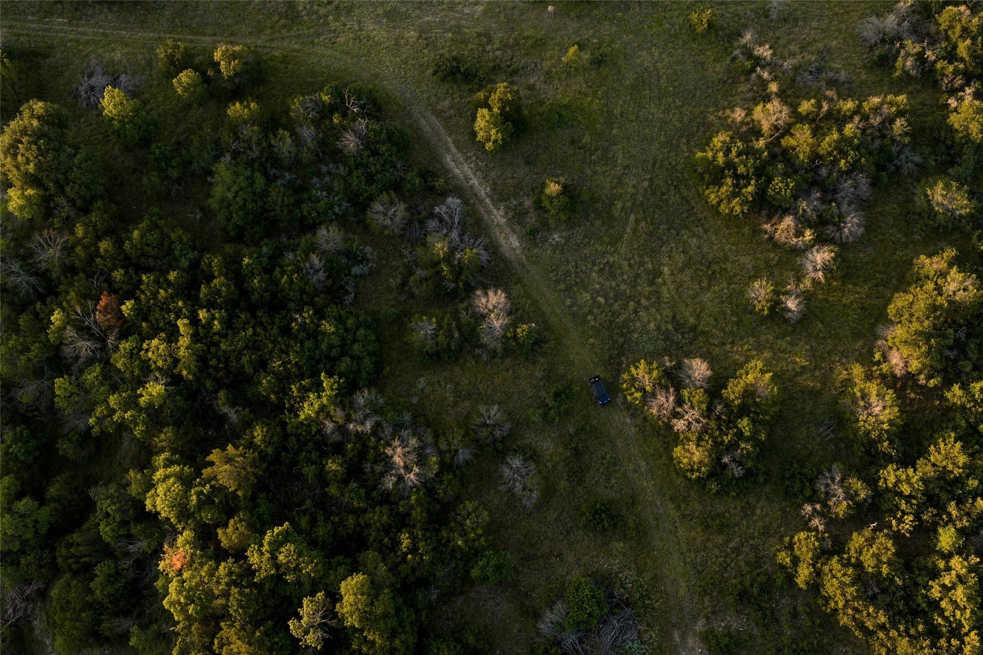 283 acres in Erath County - photo 14
