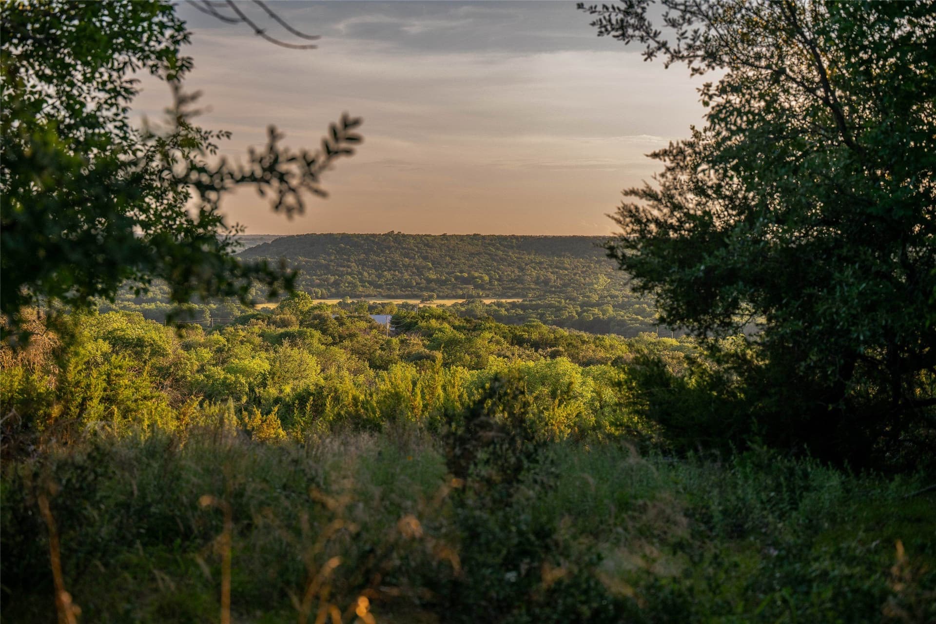283 acres in Erath County - photo 5