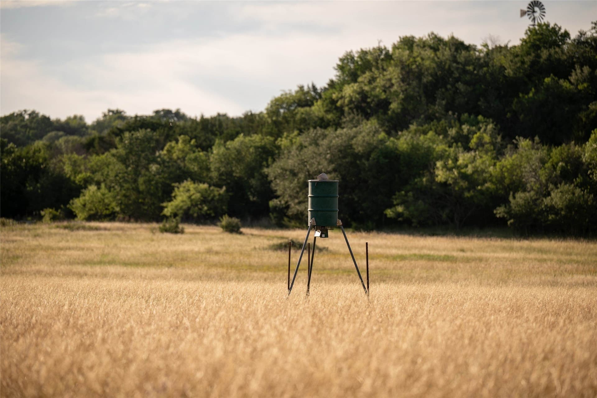 283 acres in Erath County - photo 26
