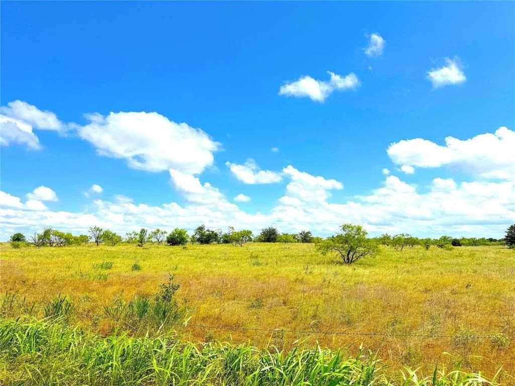 4.6 acres in Parker County gallery image 4