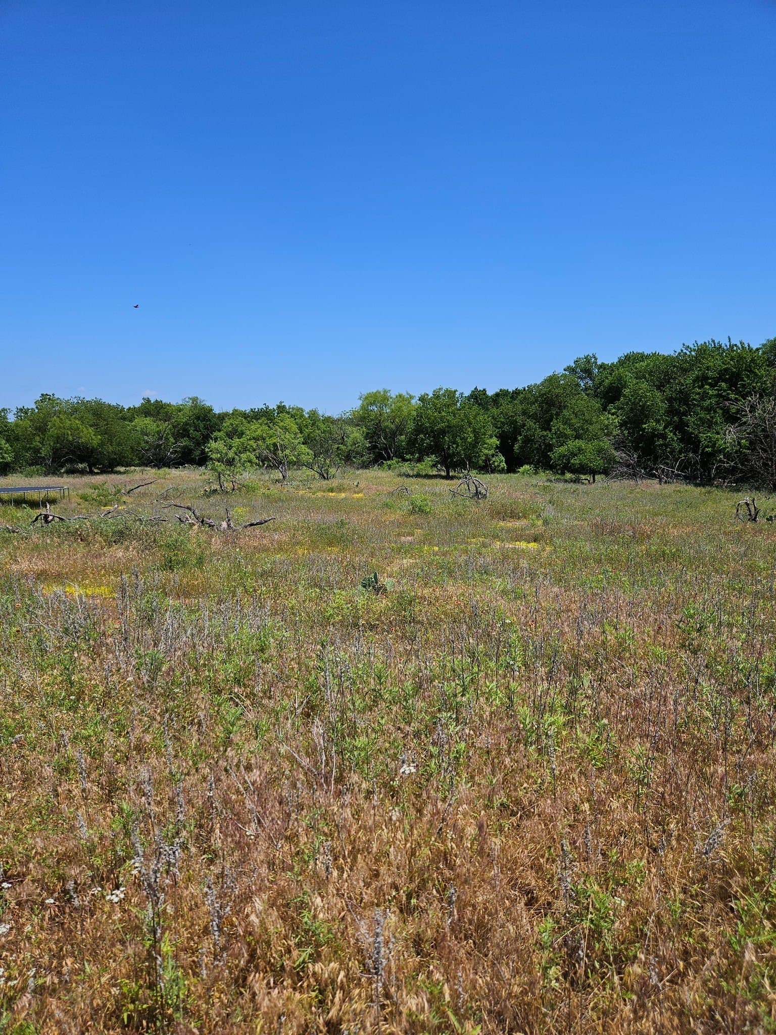 11.94 acres in Eastland County - photo 6