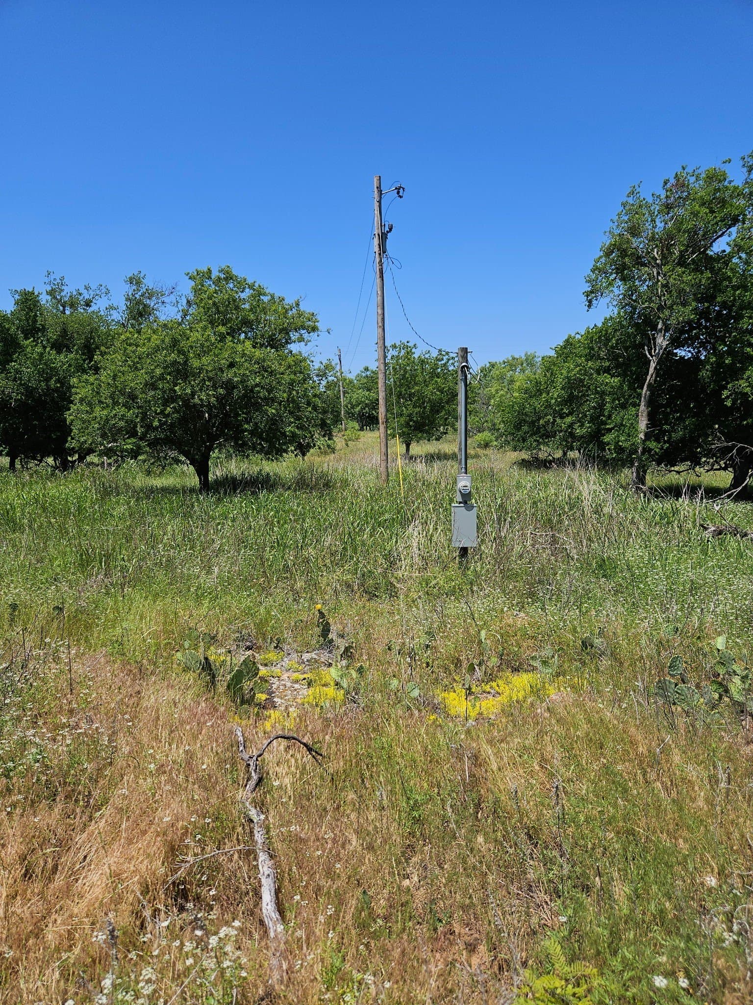 11.94 acres in Eastland County - photo 4