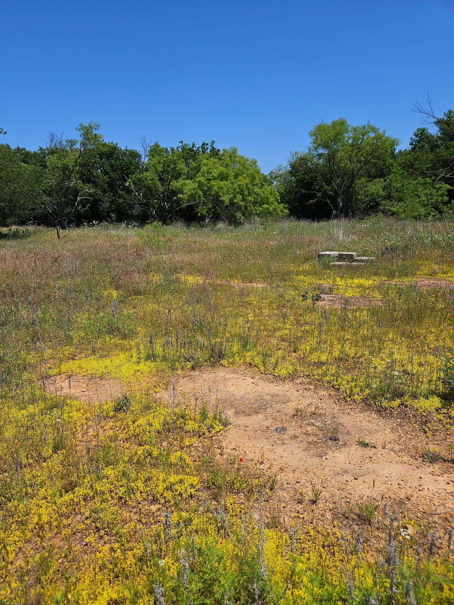11.94 acres in Eastland County - photo 5
