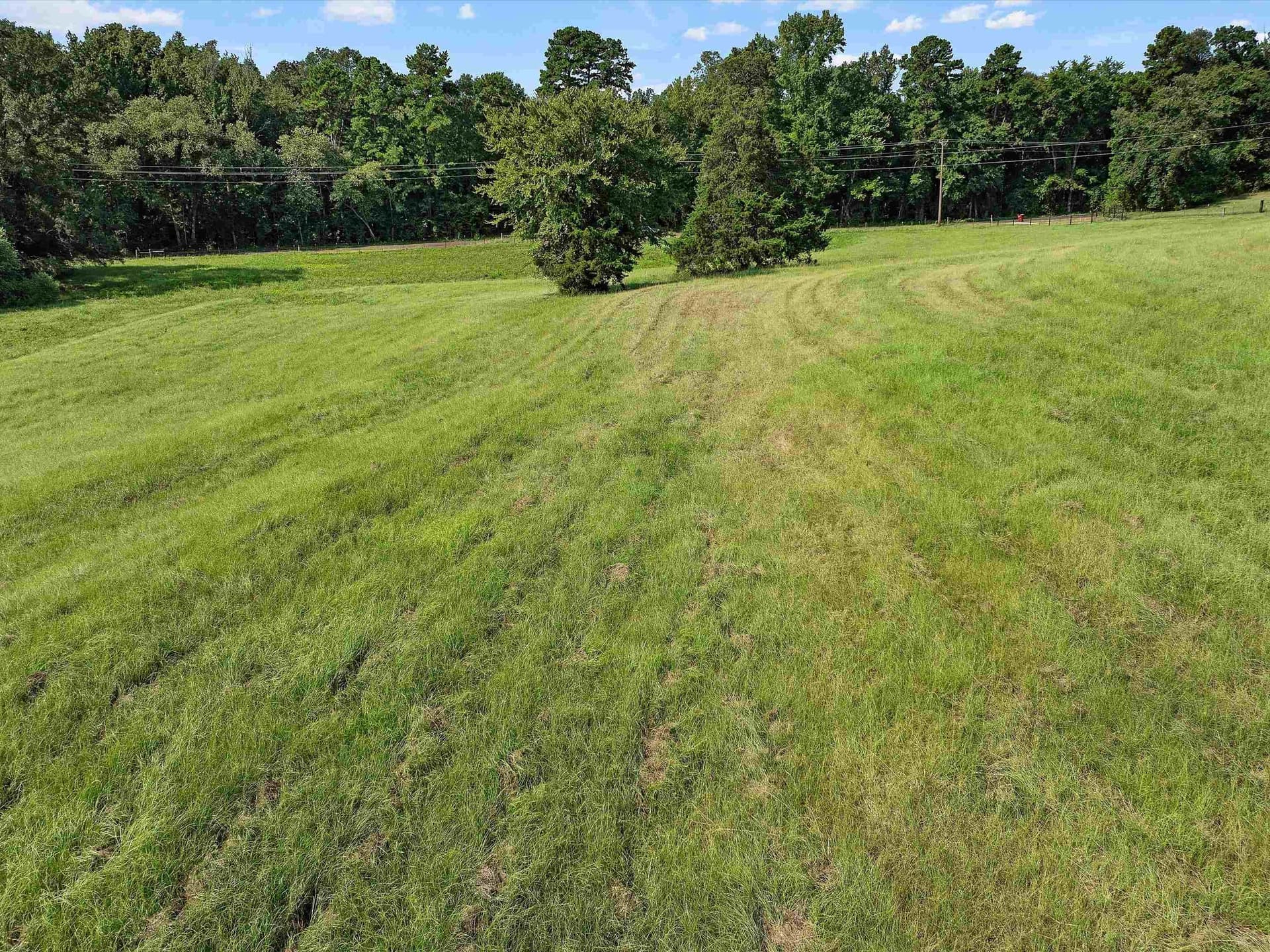 2 acres in Upshur County - photo 7