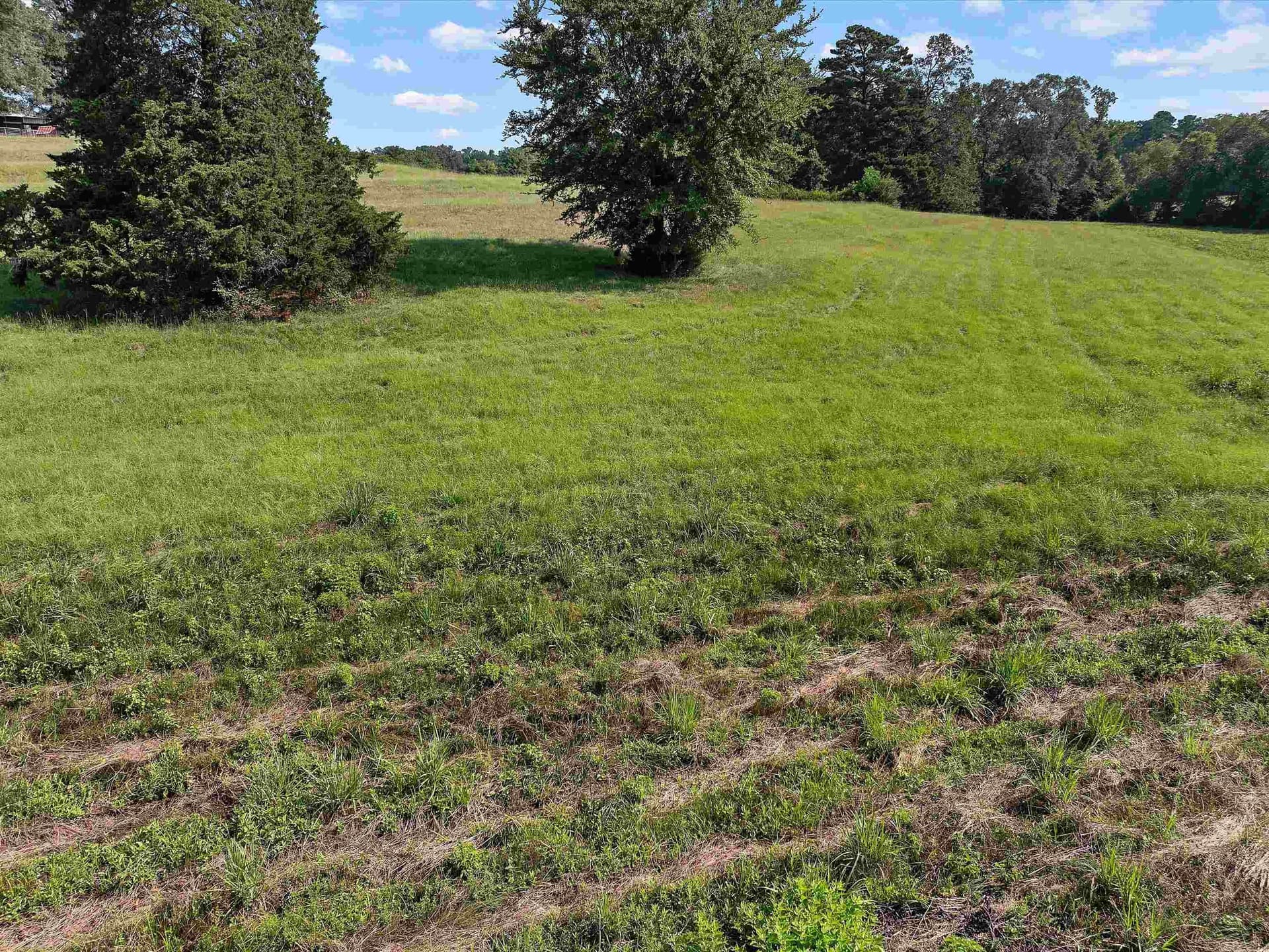 2 acres in Upshur County - photo 8