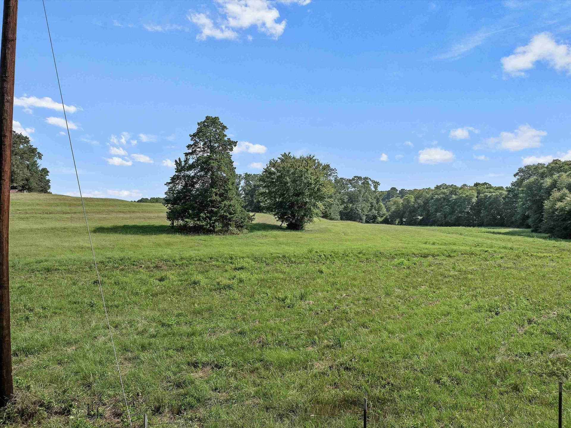 2 acres in Upshur County - photo 6