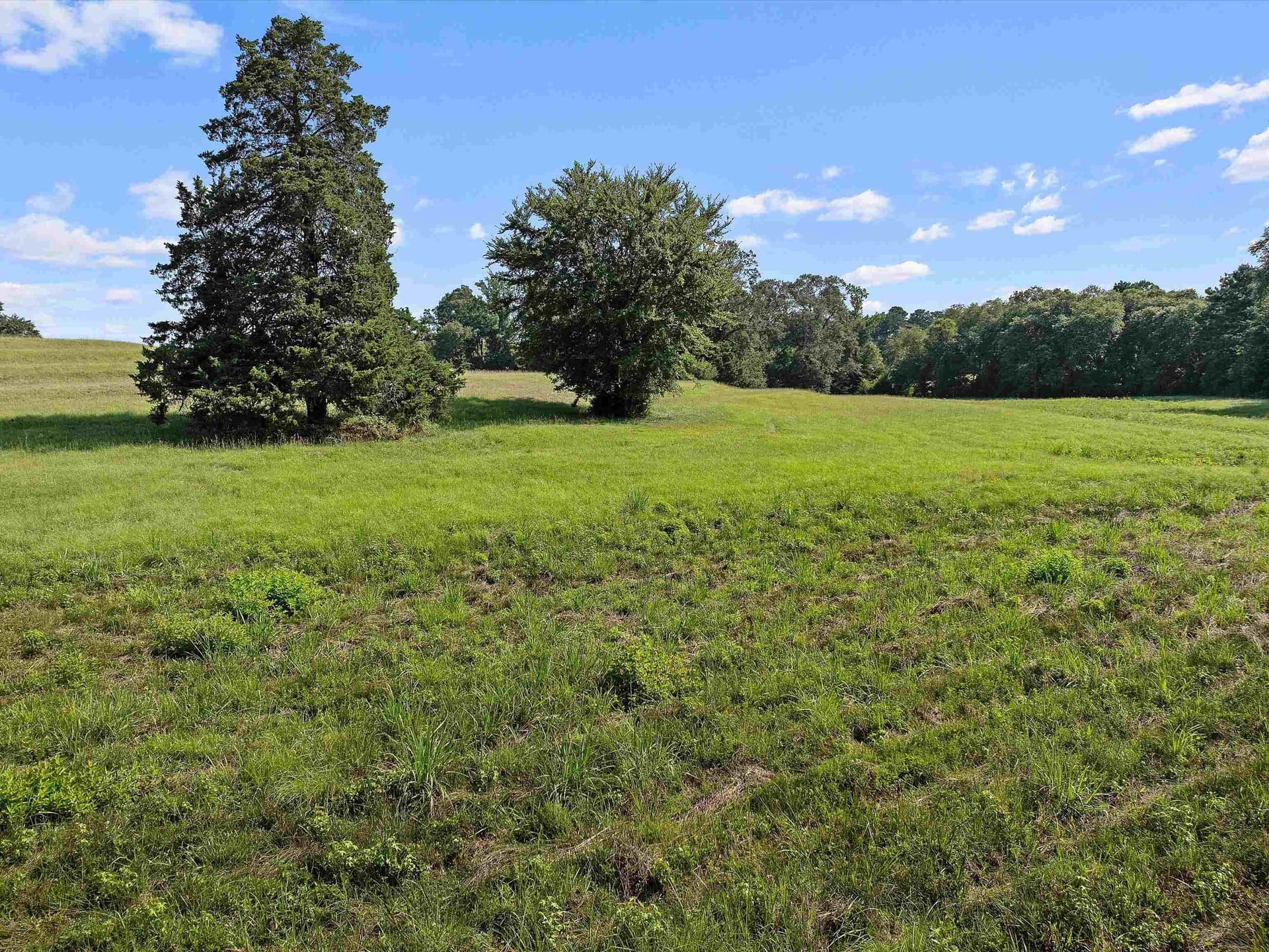 2 acres in Upshur County - photo 9