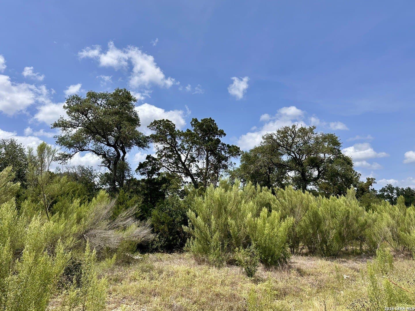 1.26 acres in Comal County featured view