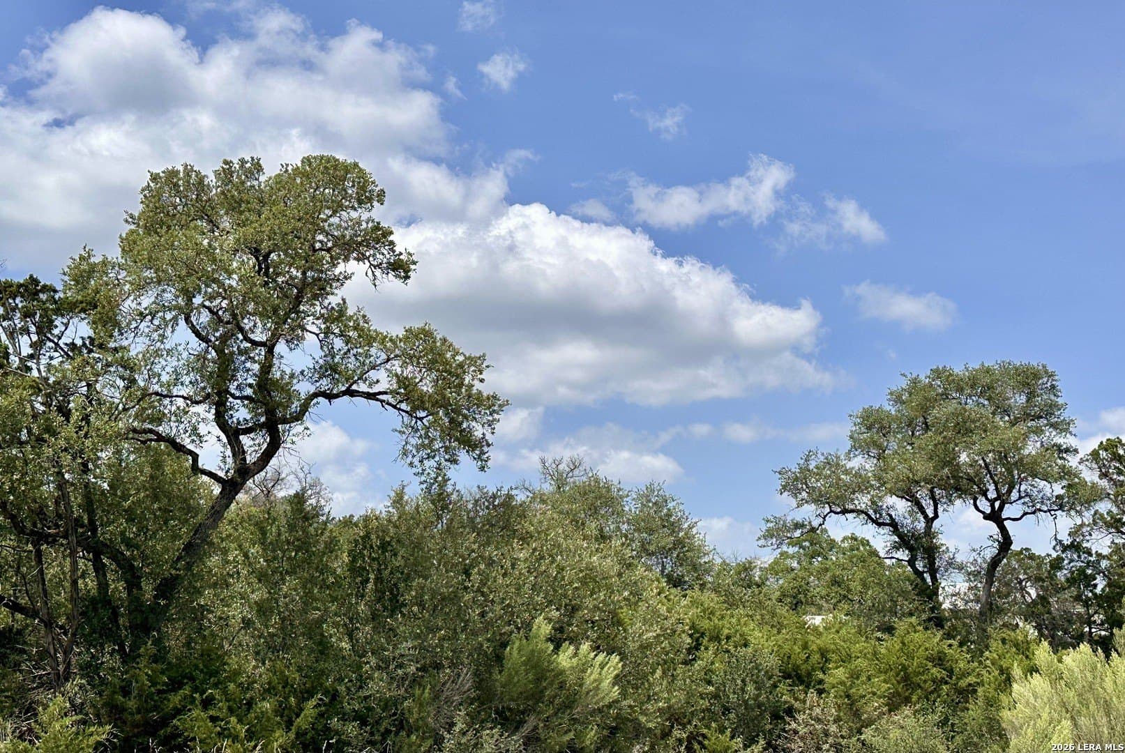 1.26 acres in Comal County gallery image 4