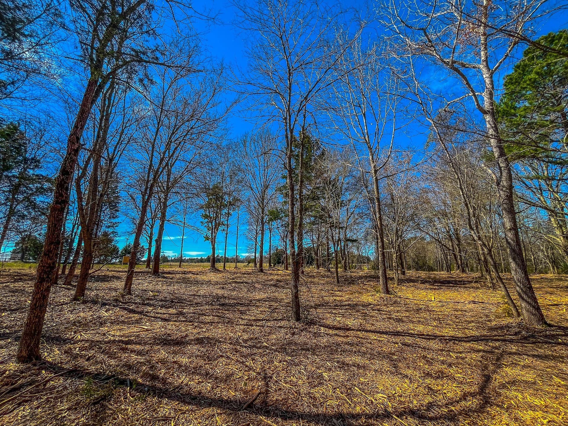 34.91 acres in Cherokee County - photo 31