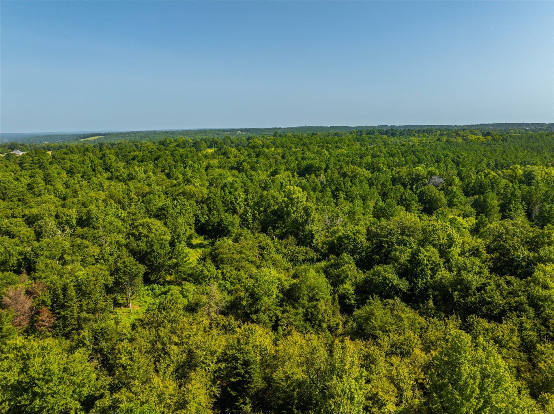 34.91 acres in Cherokee County - photo 2