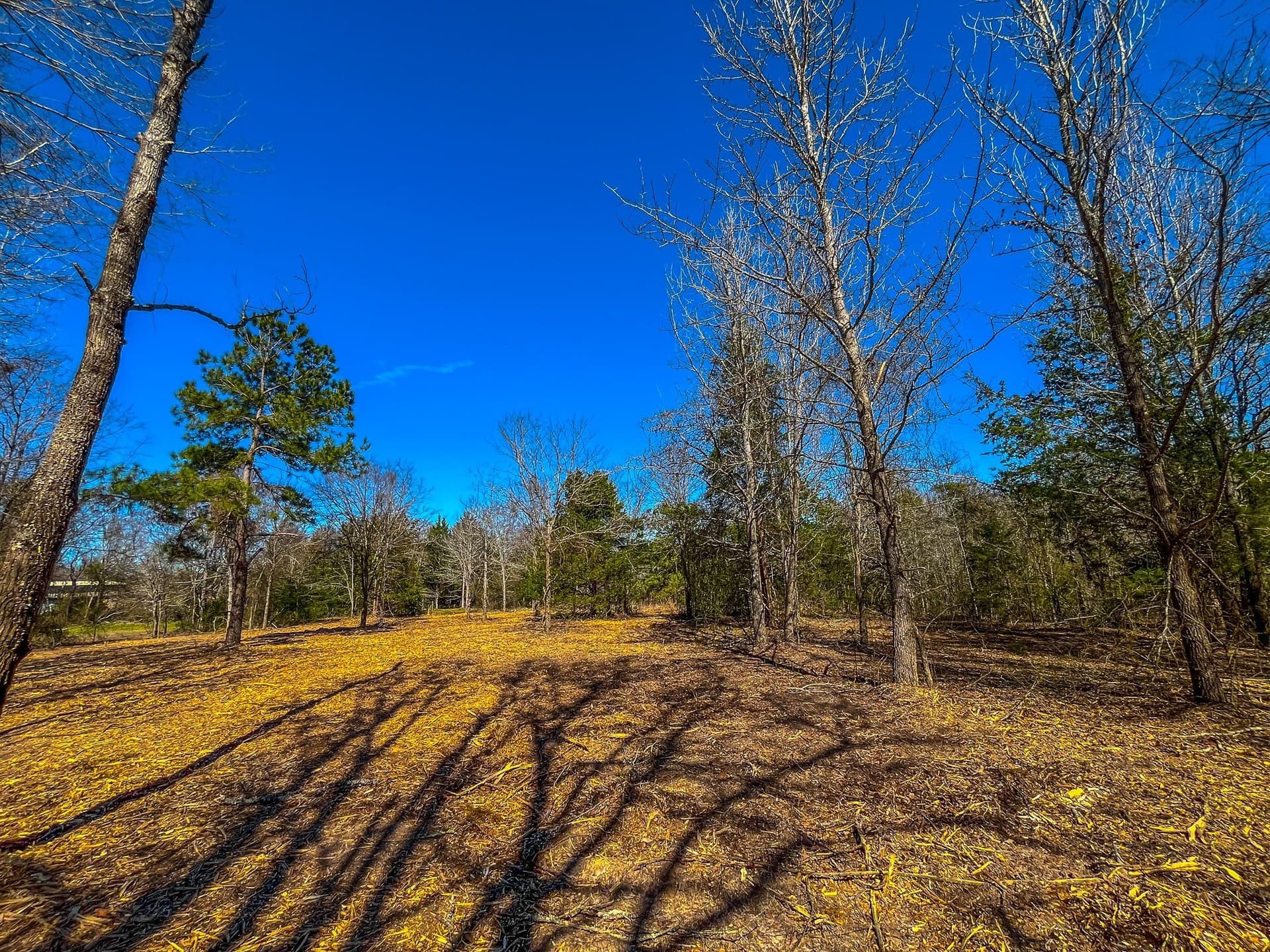 34.91 acres in Cherokee County - photo 33