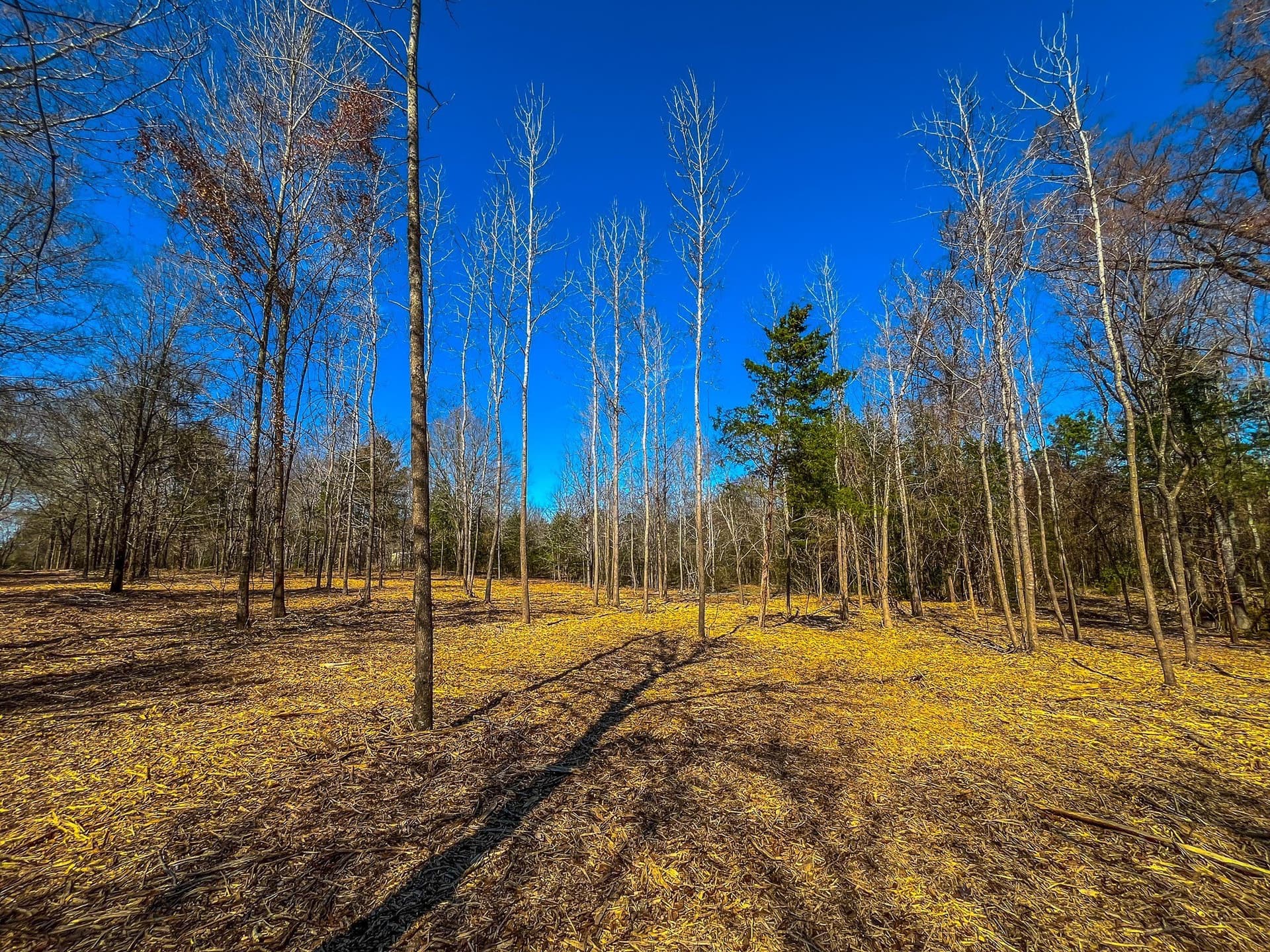 34.91 acres in Cherokee County - photo 29