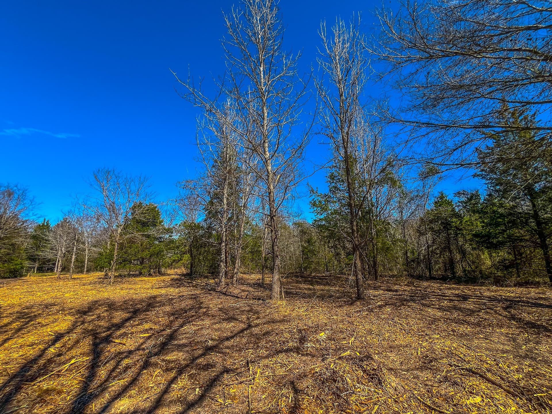 34.91 acres in Cherokee County - photo 32