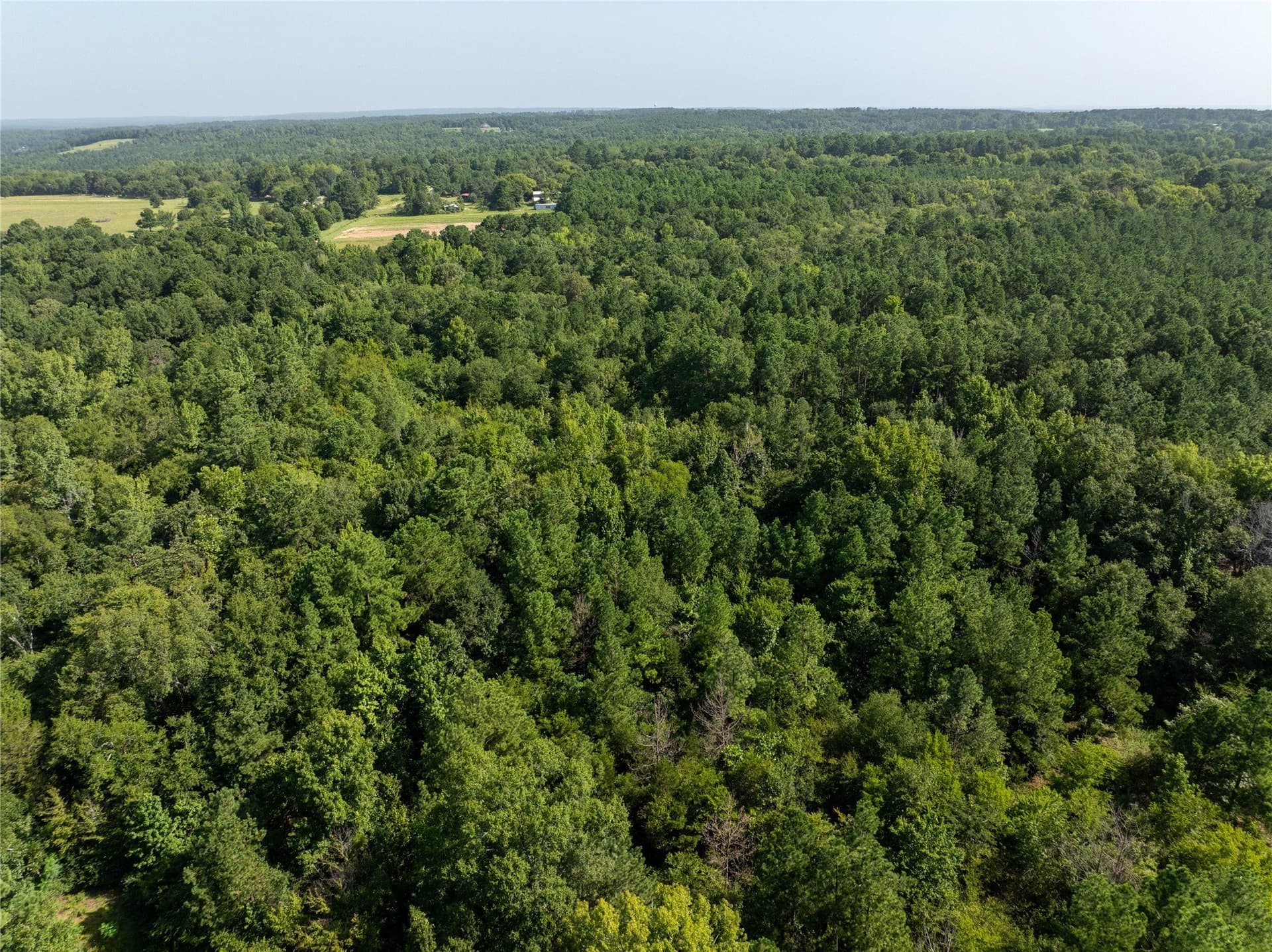 34.91 acres in Cherokee County - photo 4