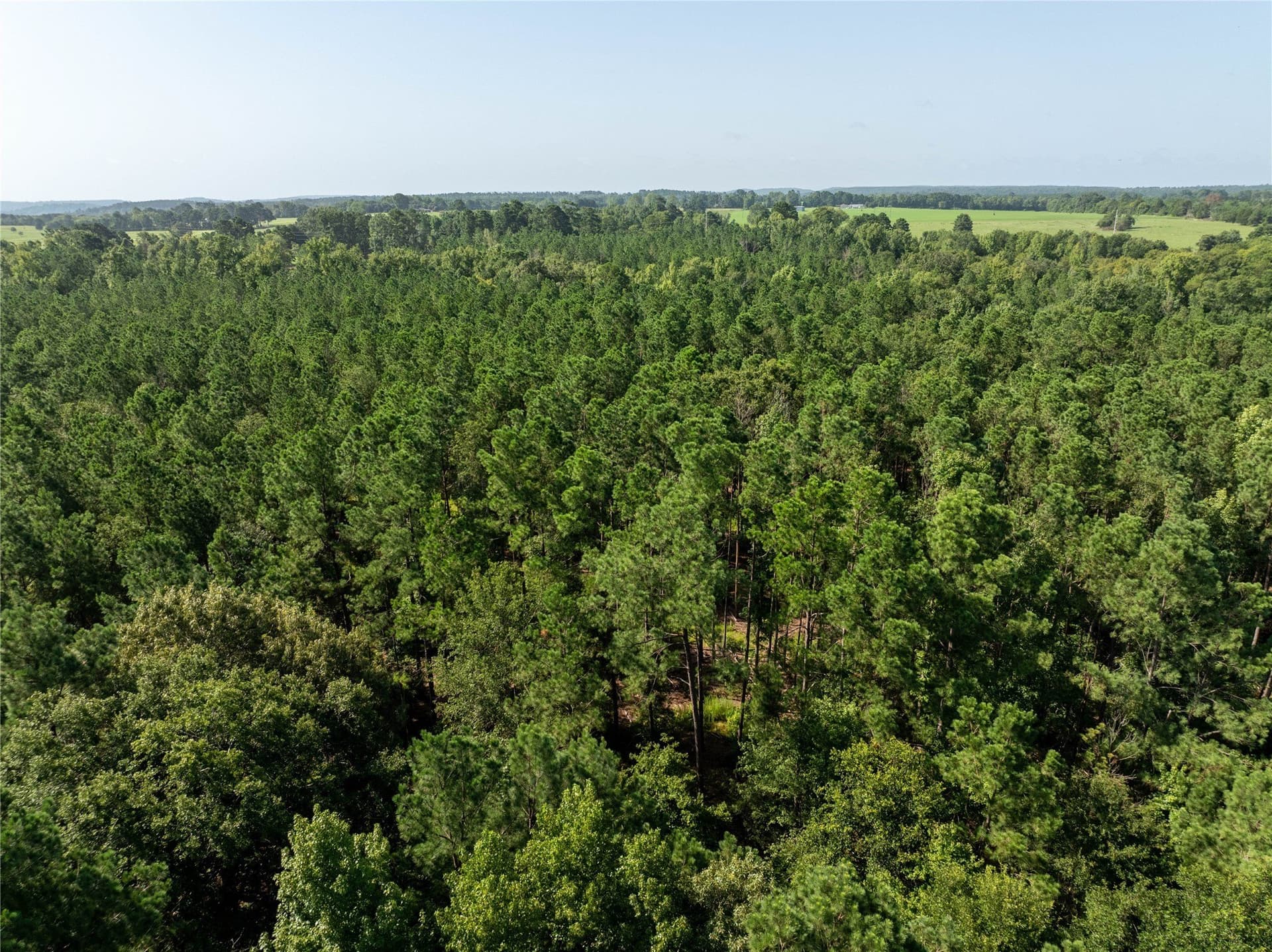 34.91 acres in Cherokee County - photo 13
