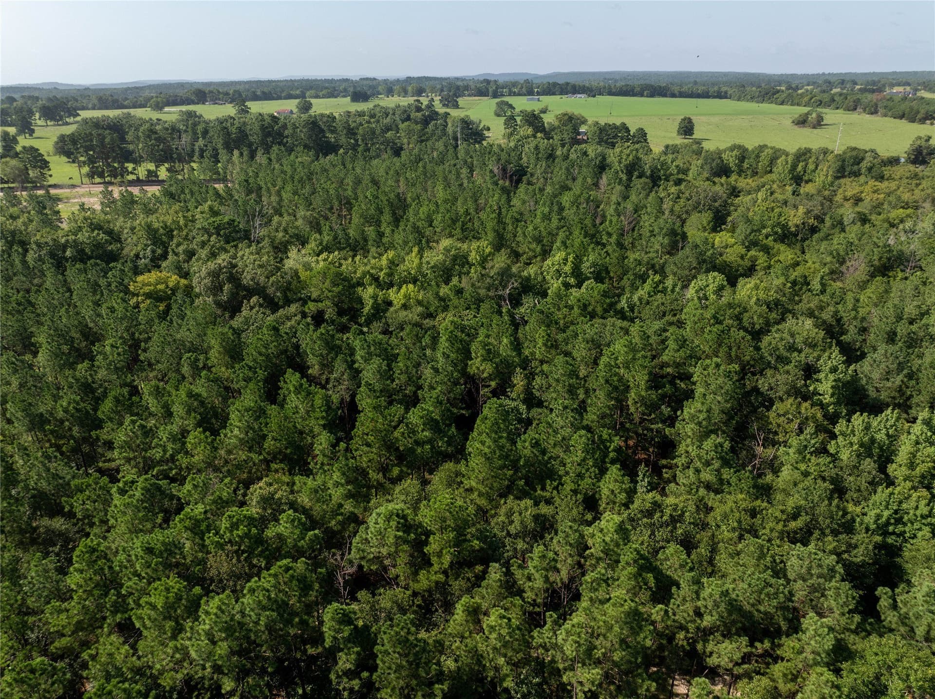 34.91 acres in Cherokee County - photo 14
