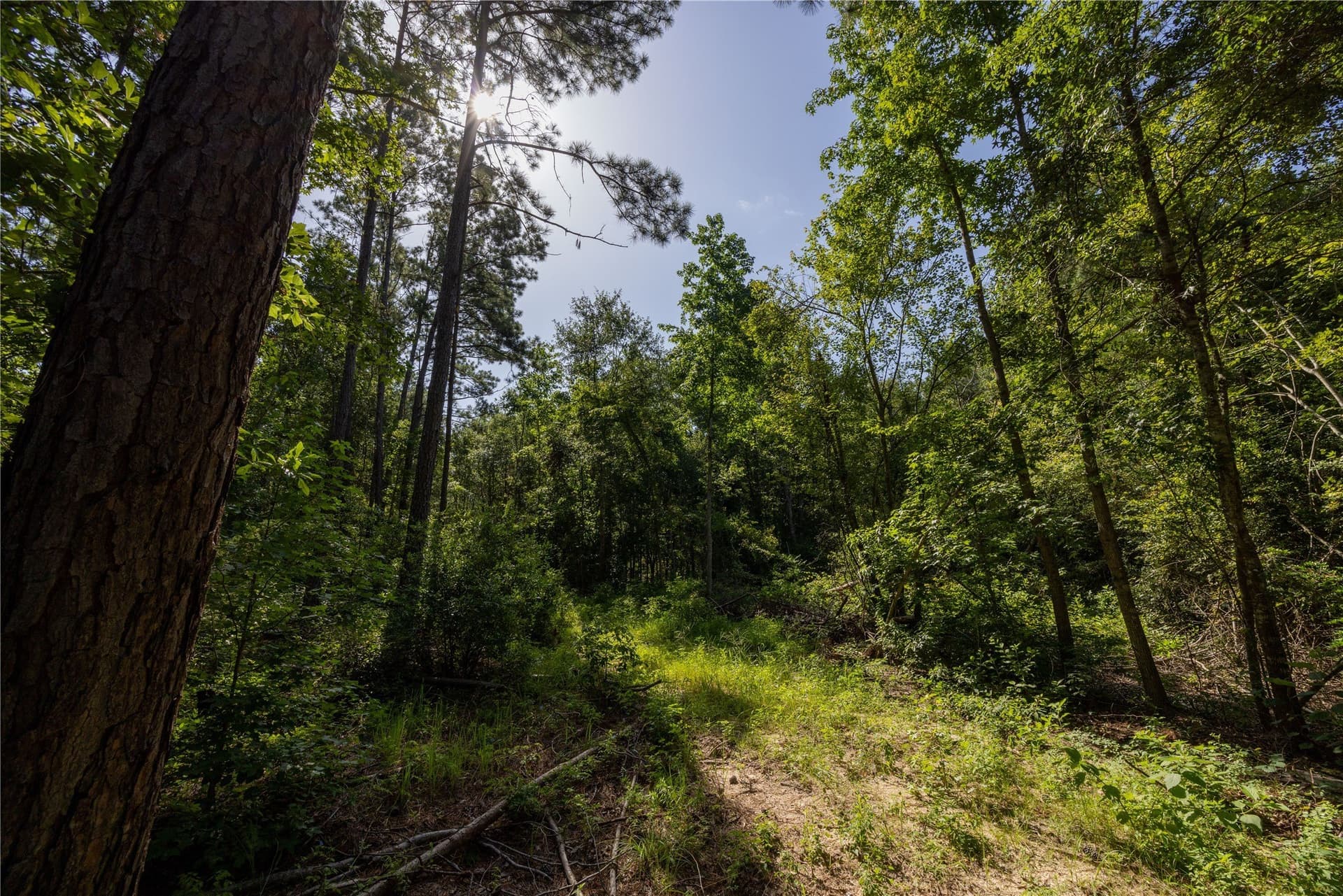 34.91 acres in Cherokee County - photo 21