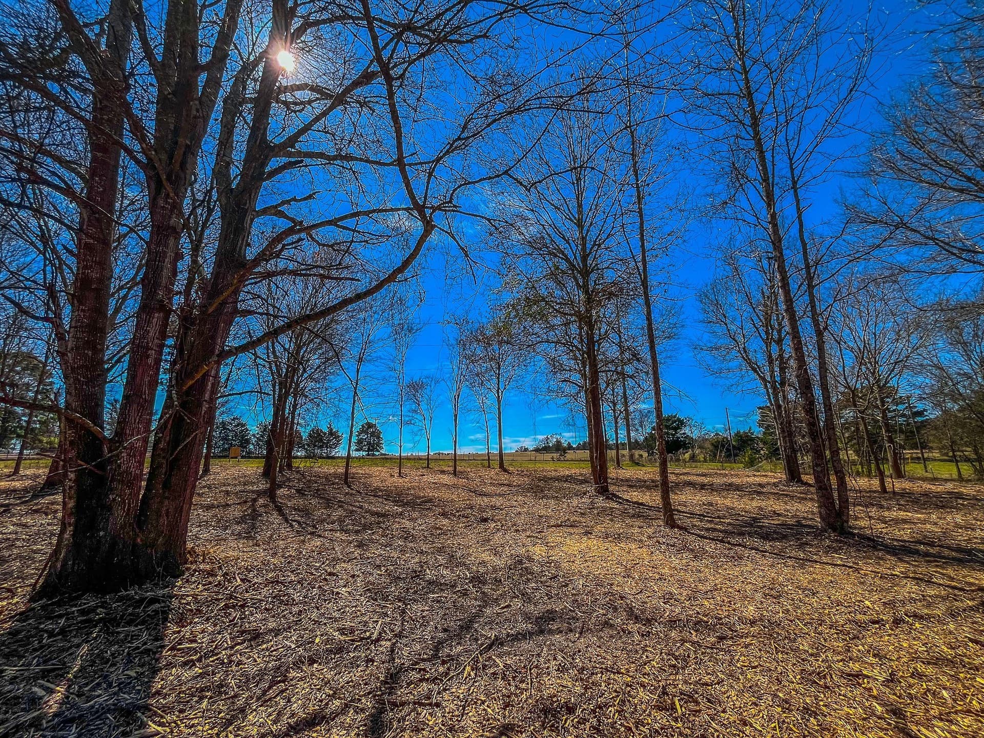34.91 acres in Cherokee County - photo 34