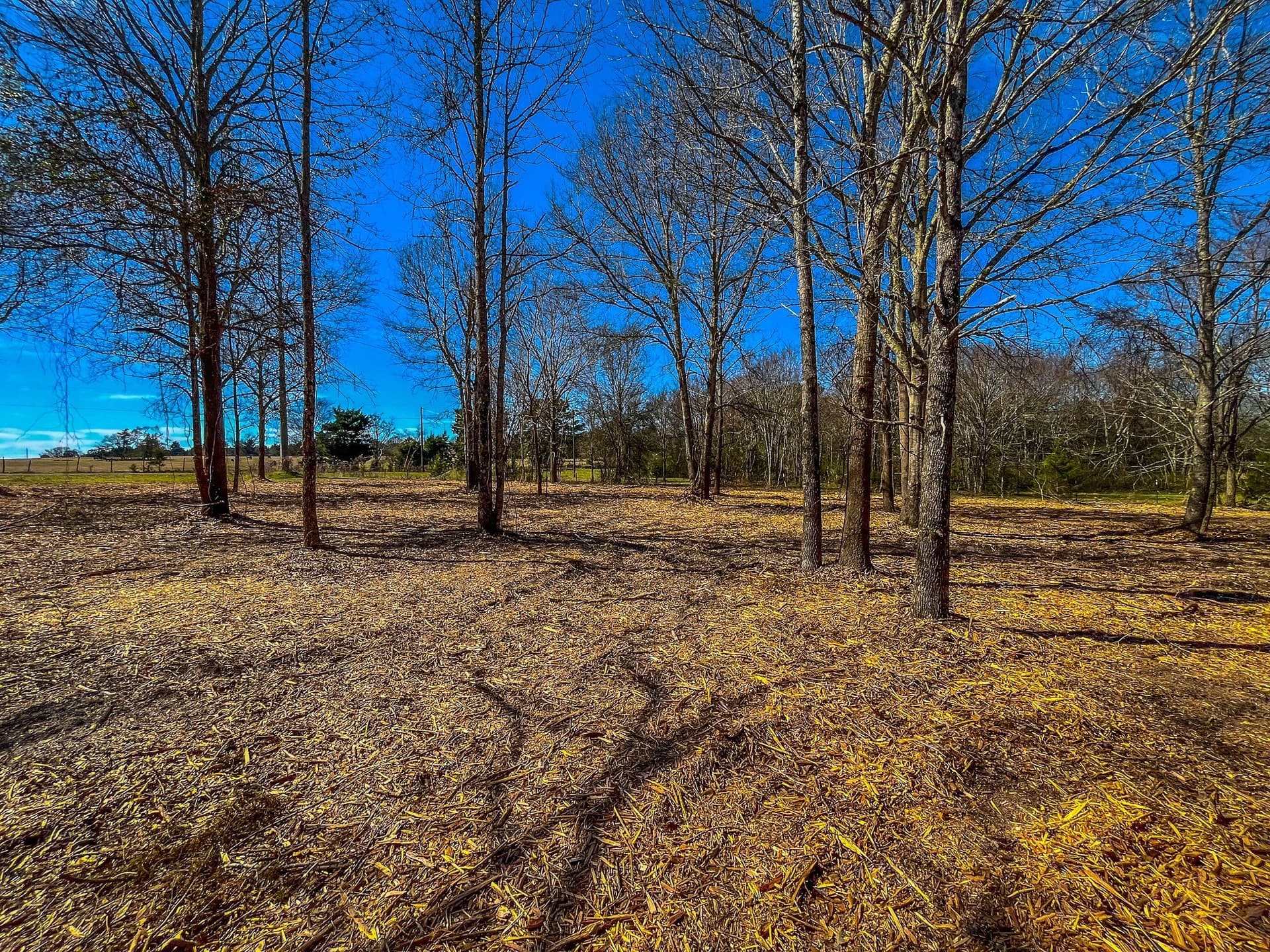34.91 acres in Cherokee County - photo 35