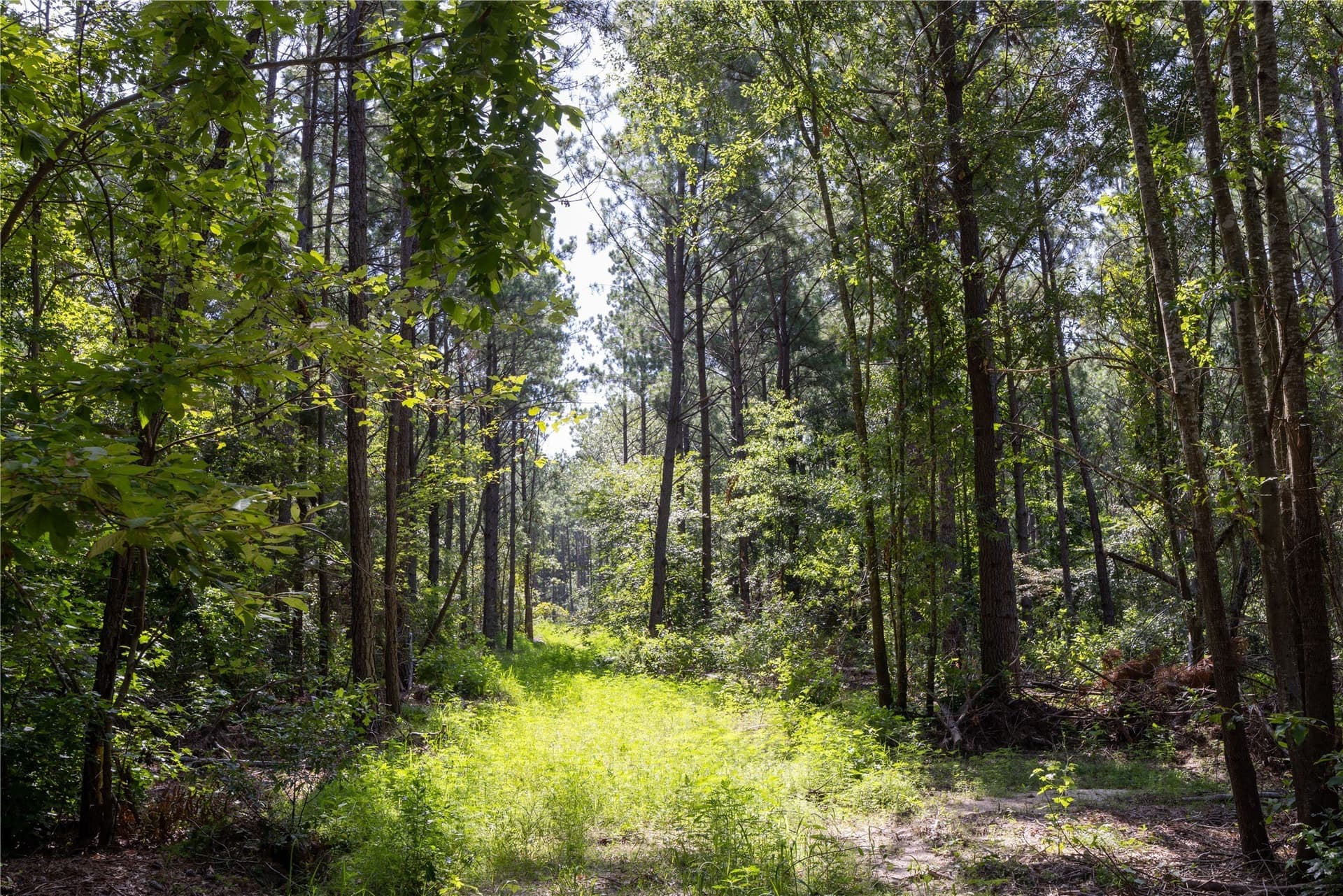 34.91 acres in Cherokee County - photo 22