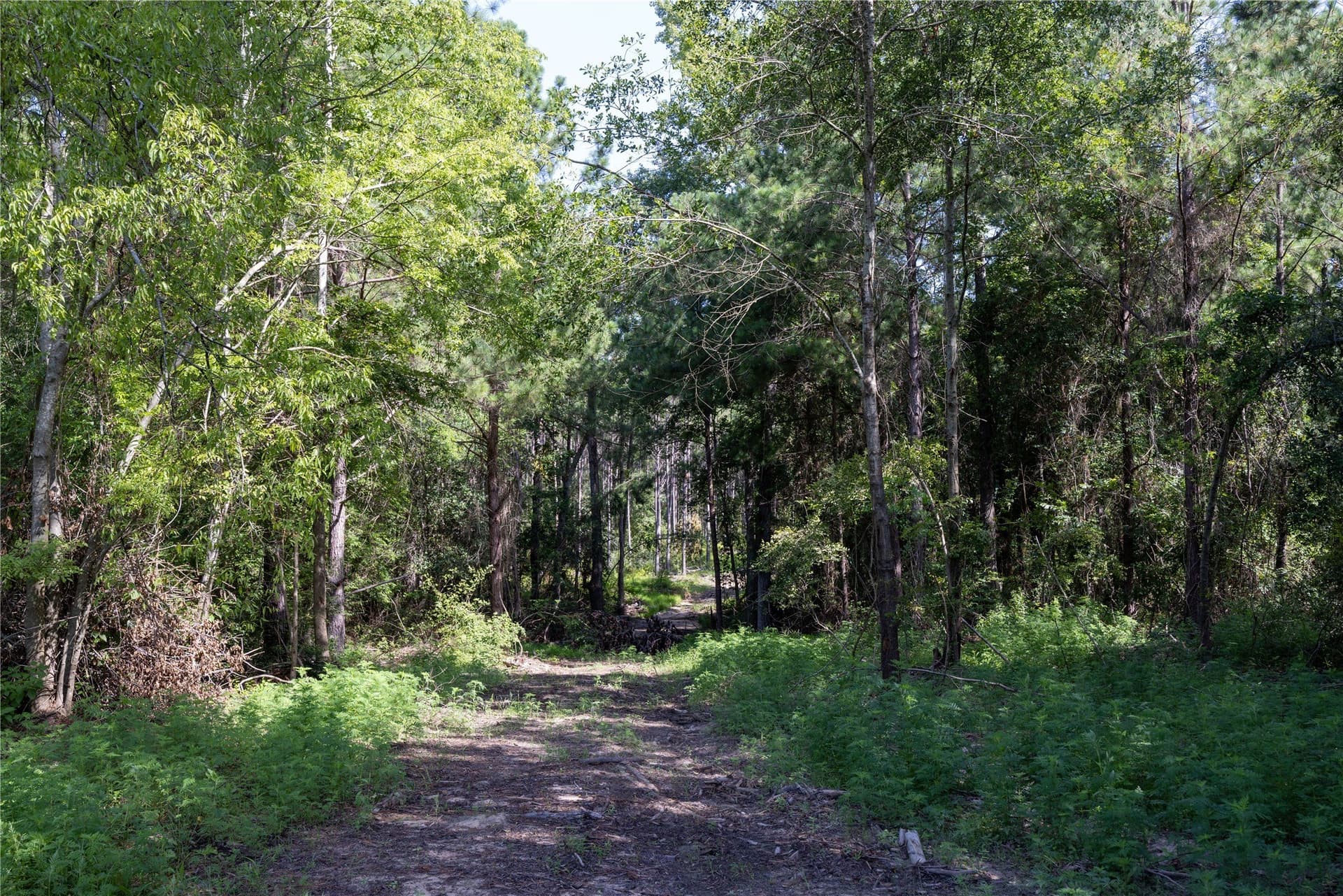 34.91 acres in Cherokee County - photo 15