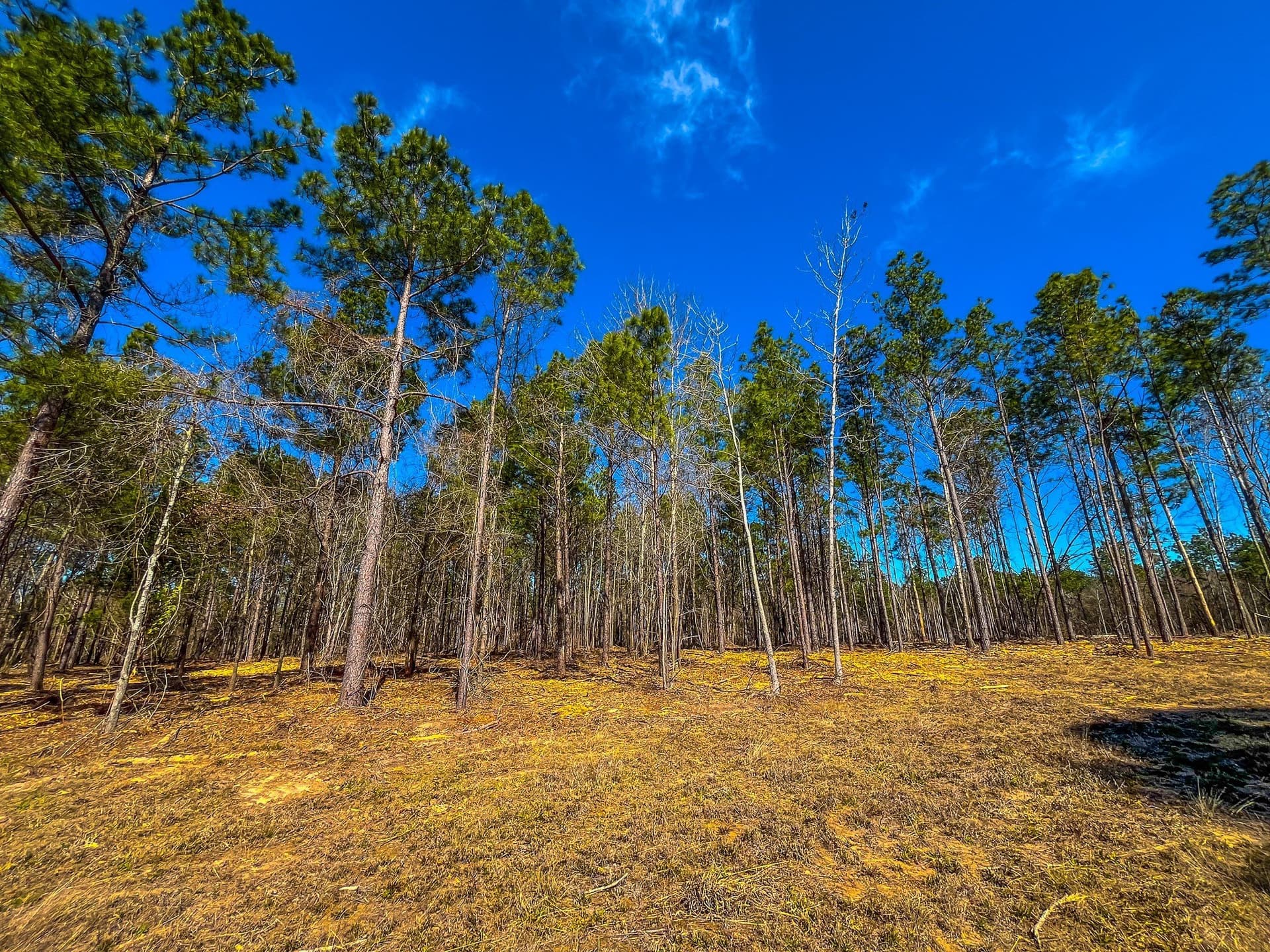 34.91 acres in Cherokee County - photo 23