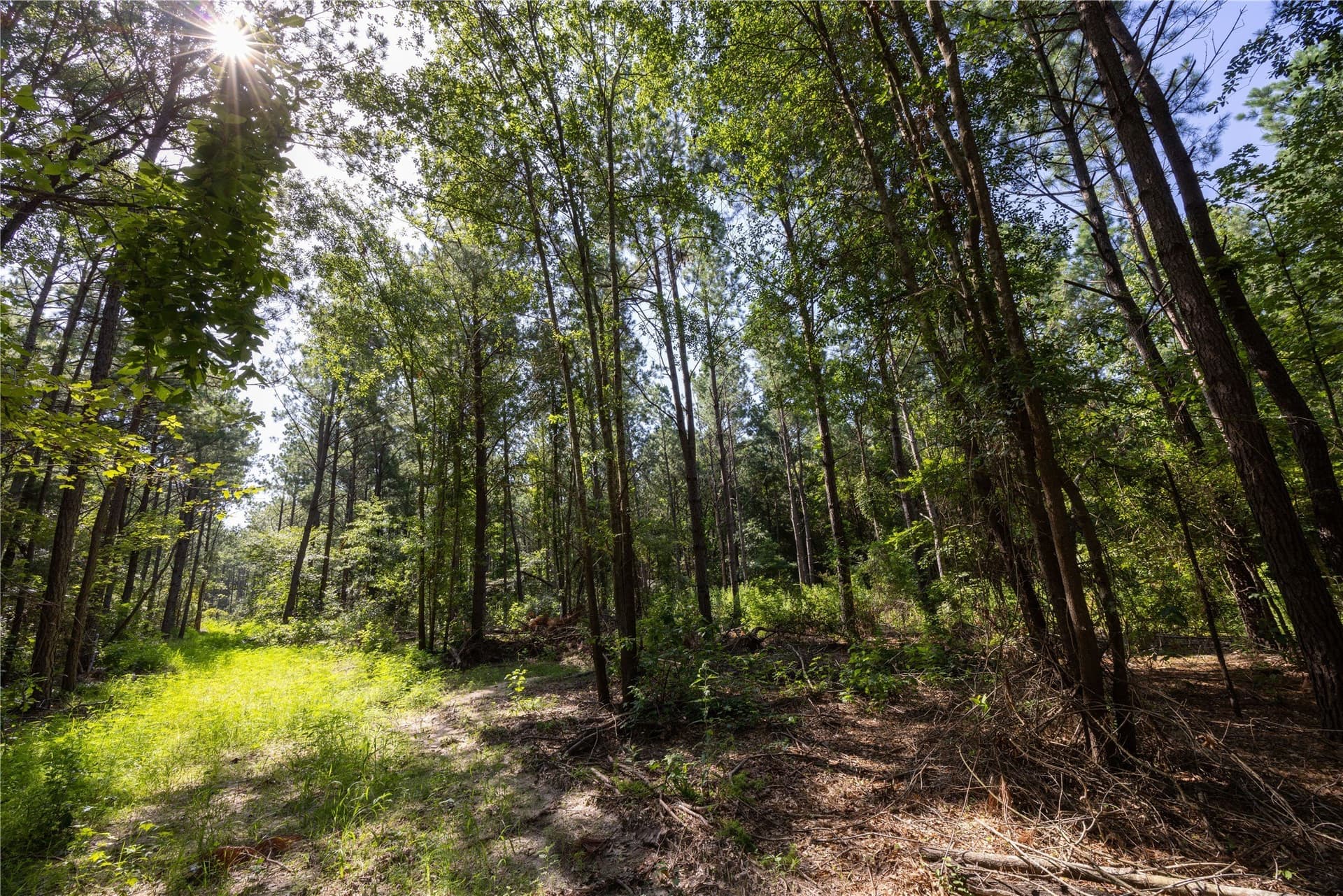 34.91 acres in Cherokee County - photo 7