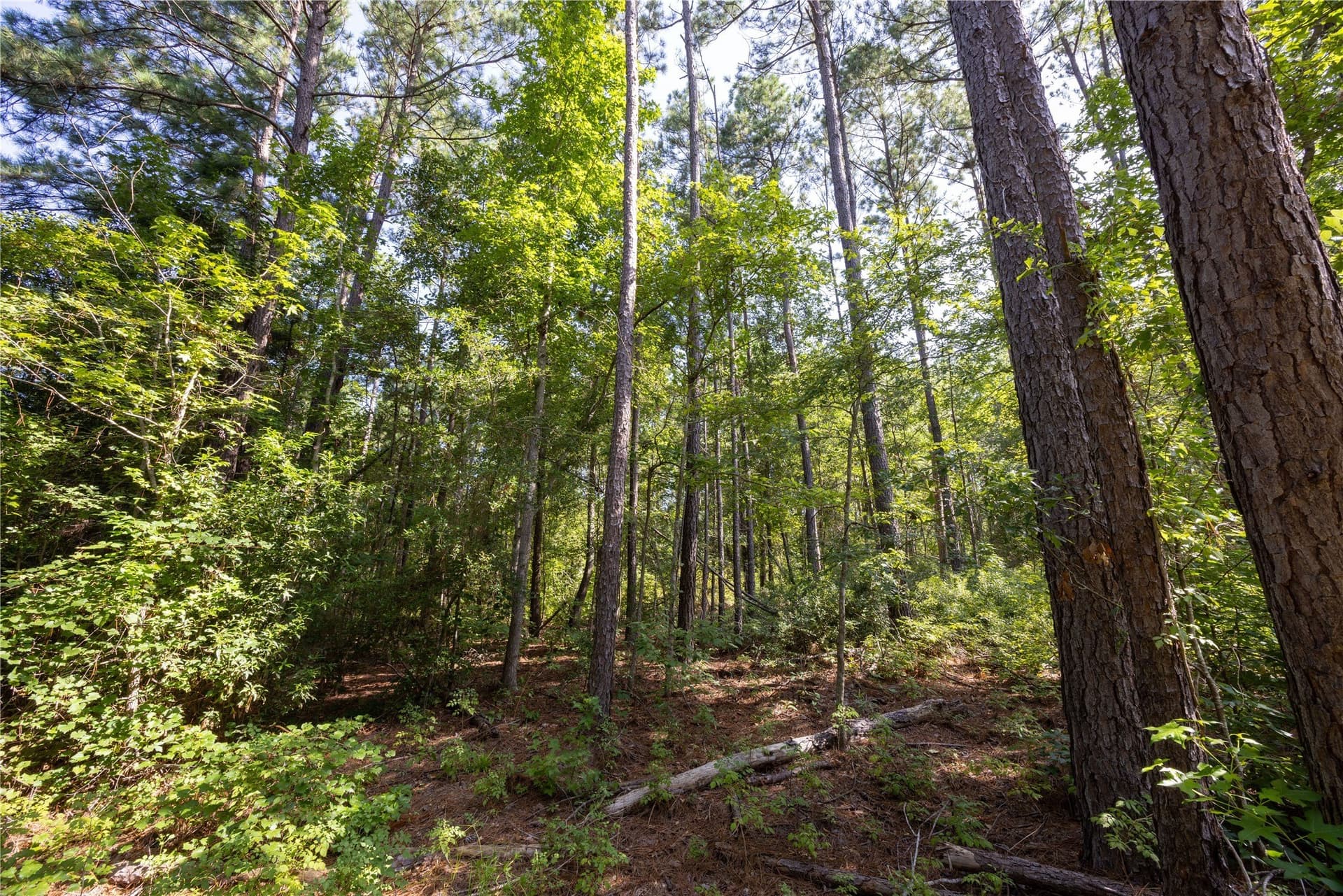 34.91 acres in Cherokee County - photo 20