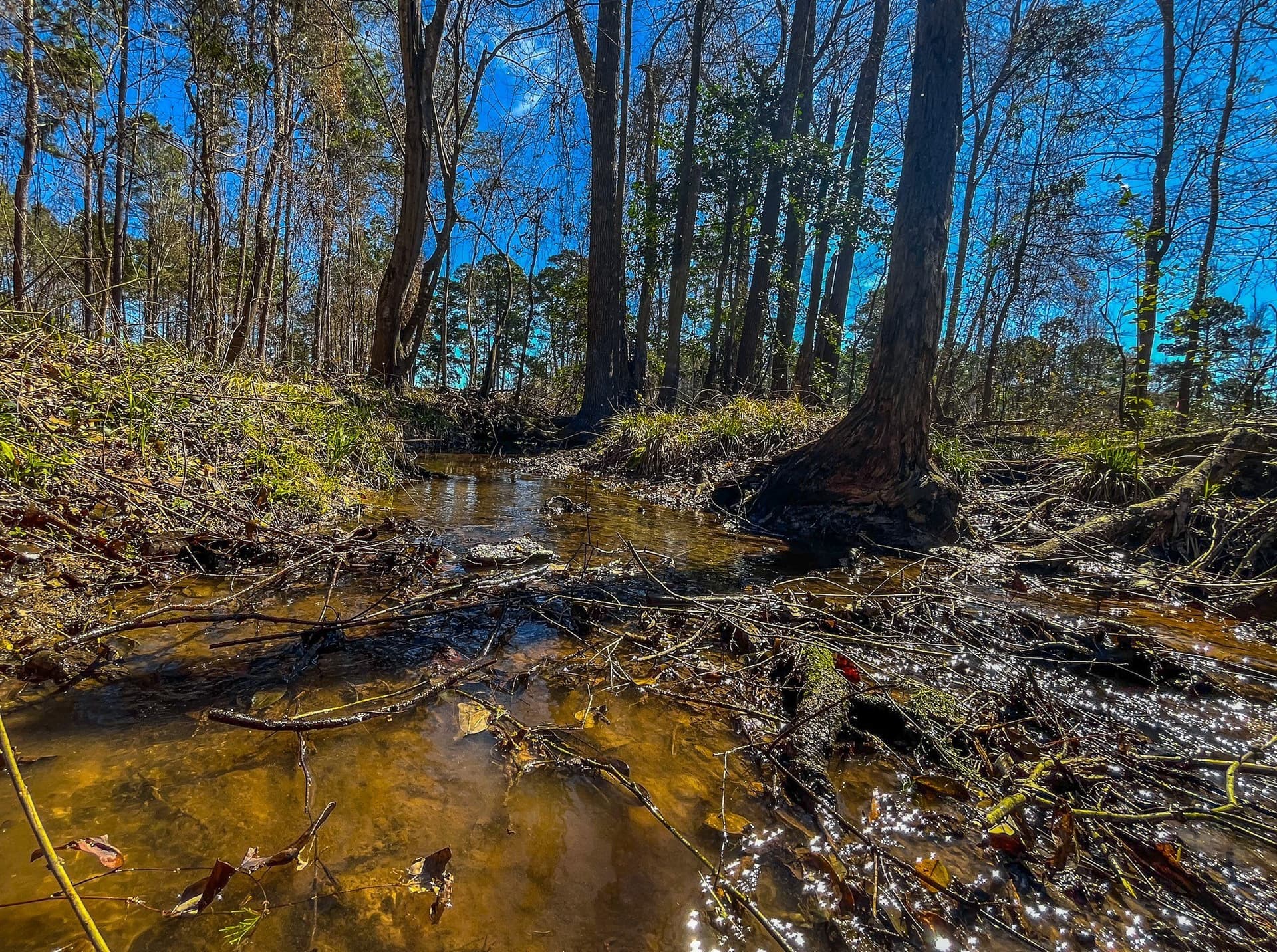 34.91 acres in Cherokee County - photo 27