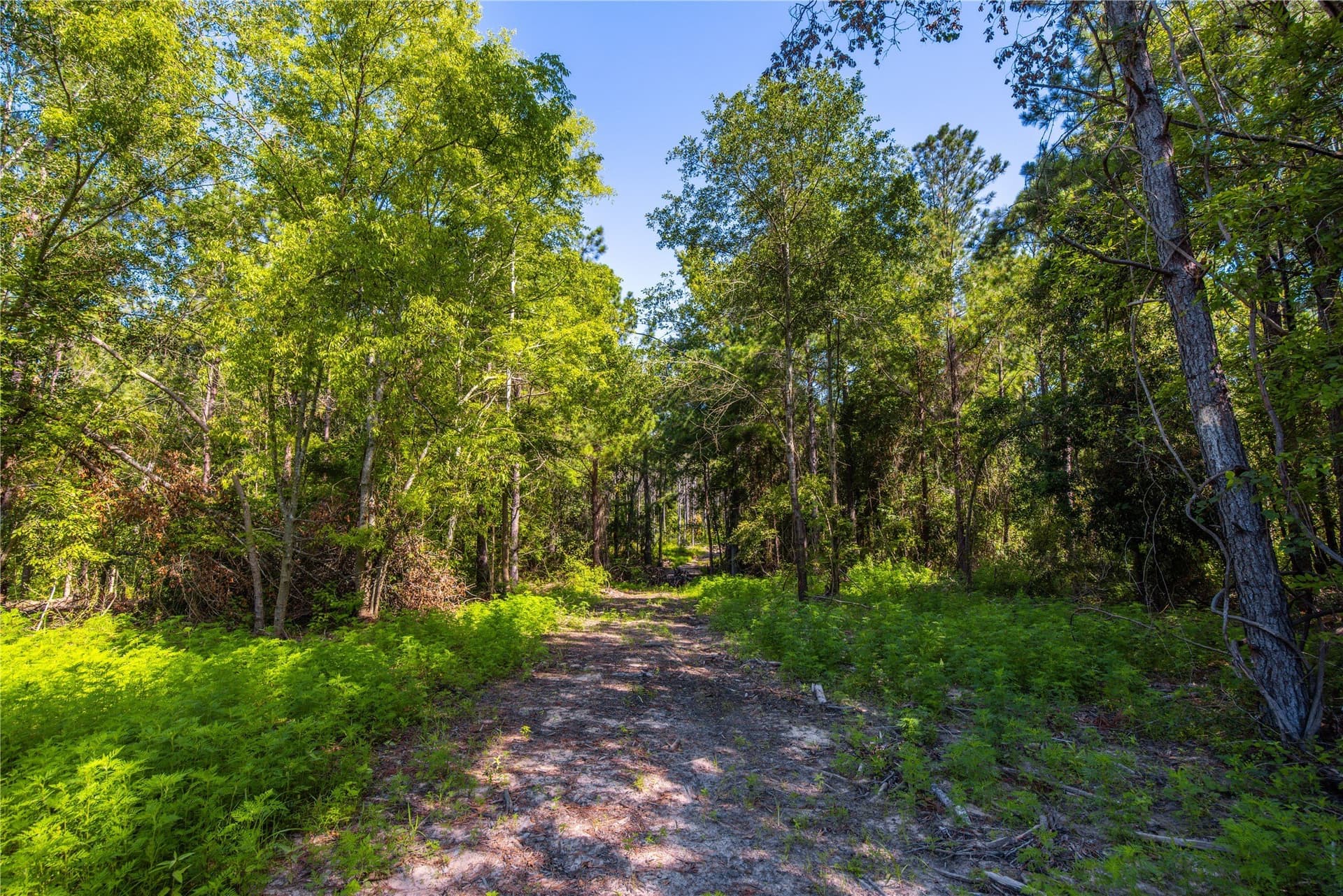 34.91 acres in Cherokee County - photo 16