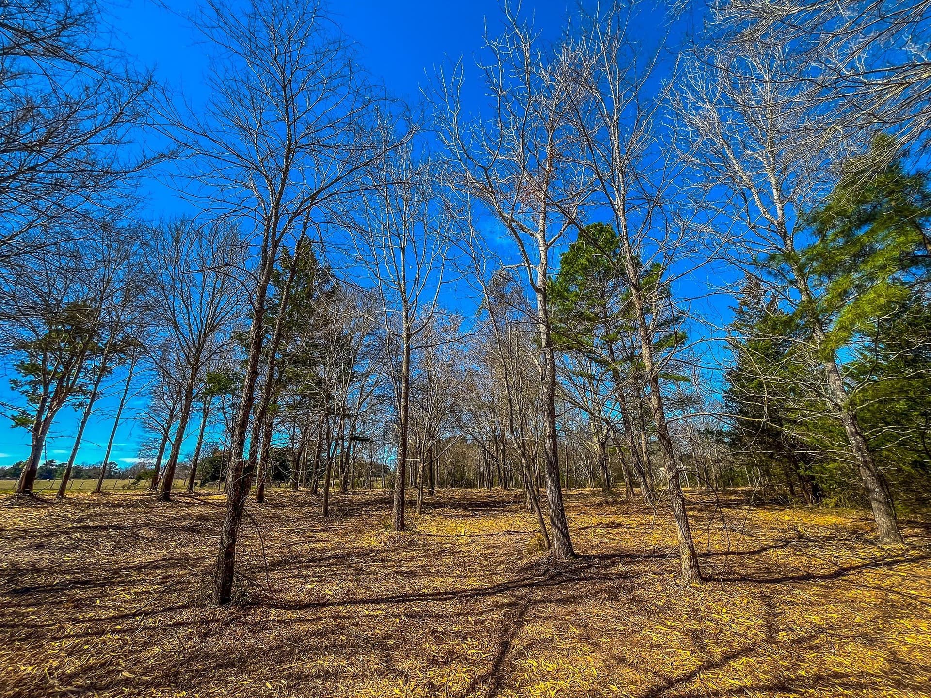 34.91 acres in Cherokee County - photo 30