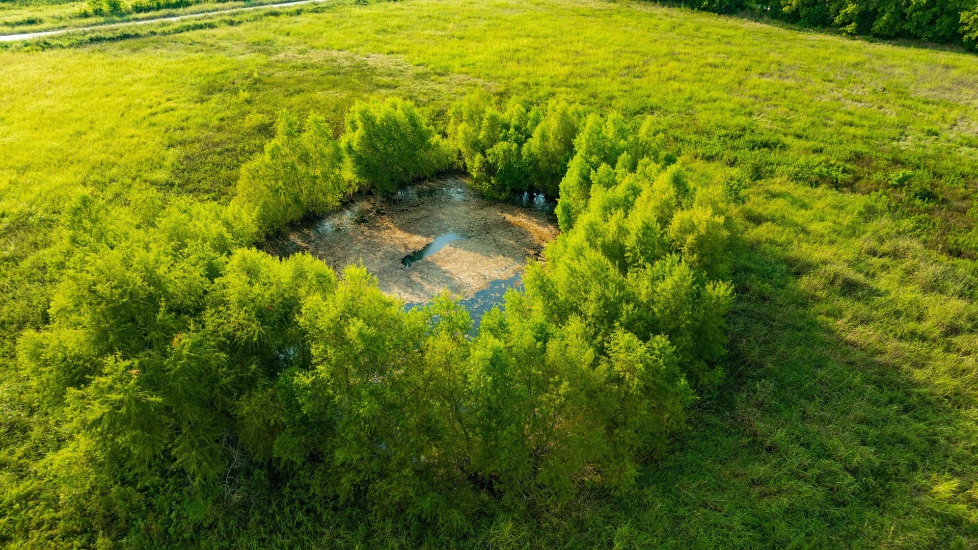 62 acres in Lamar County - photo 4