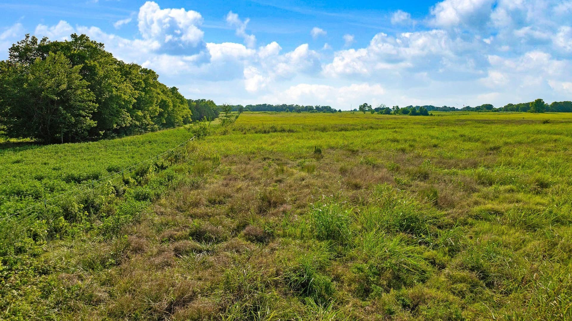 62 acres in Lamar County - photo 23