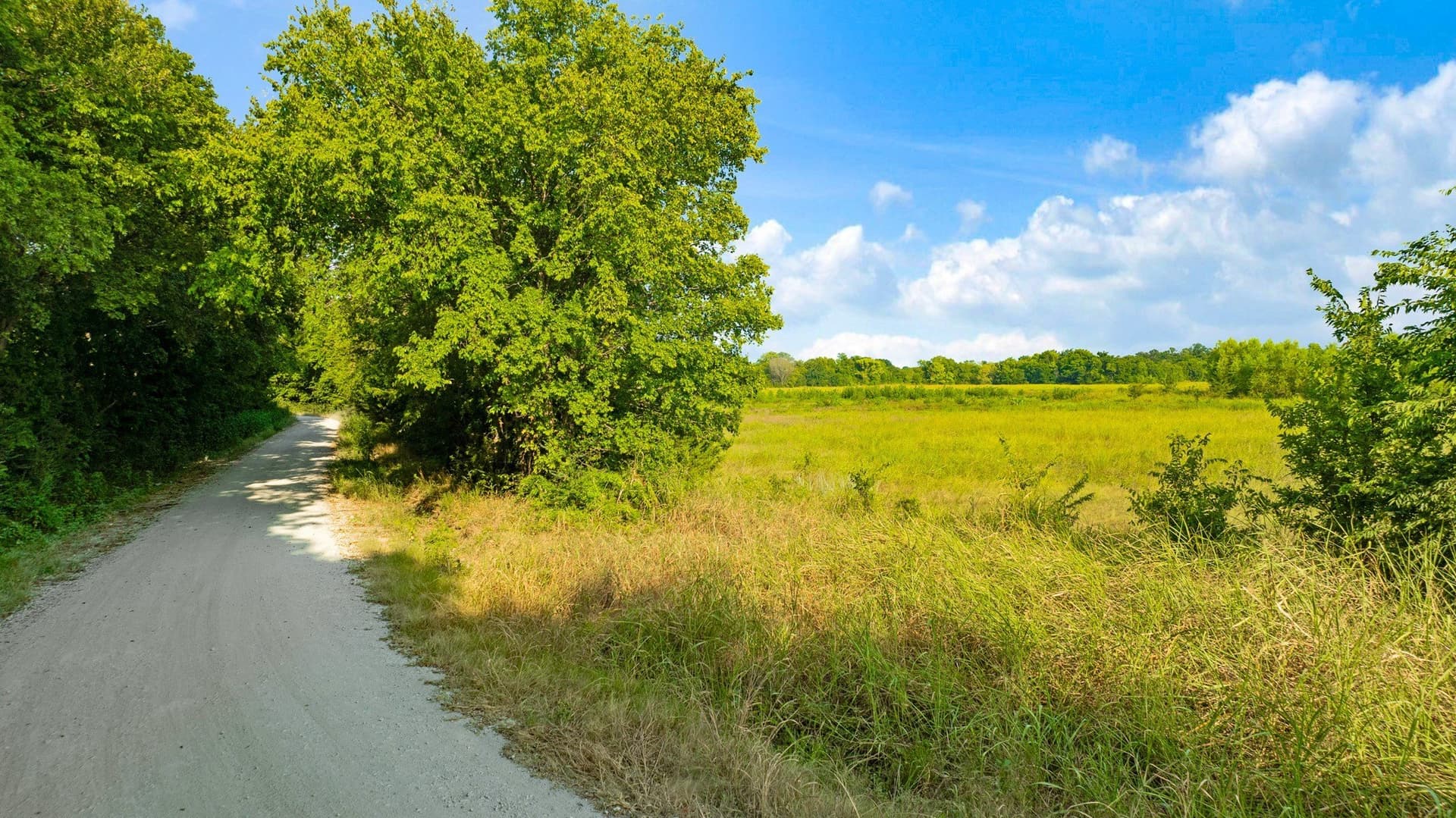 62 acres in Lamar County - photo 13