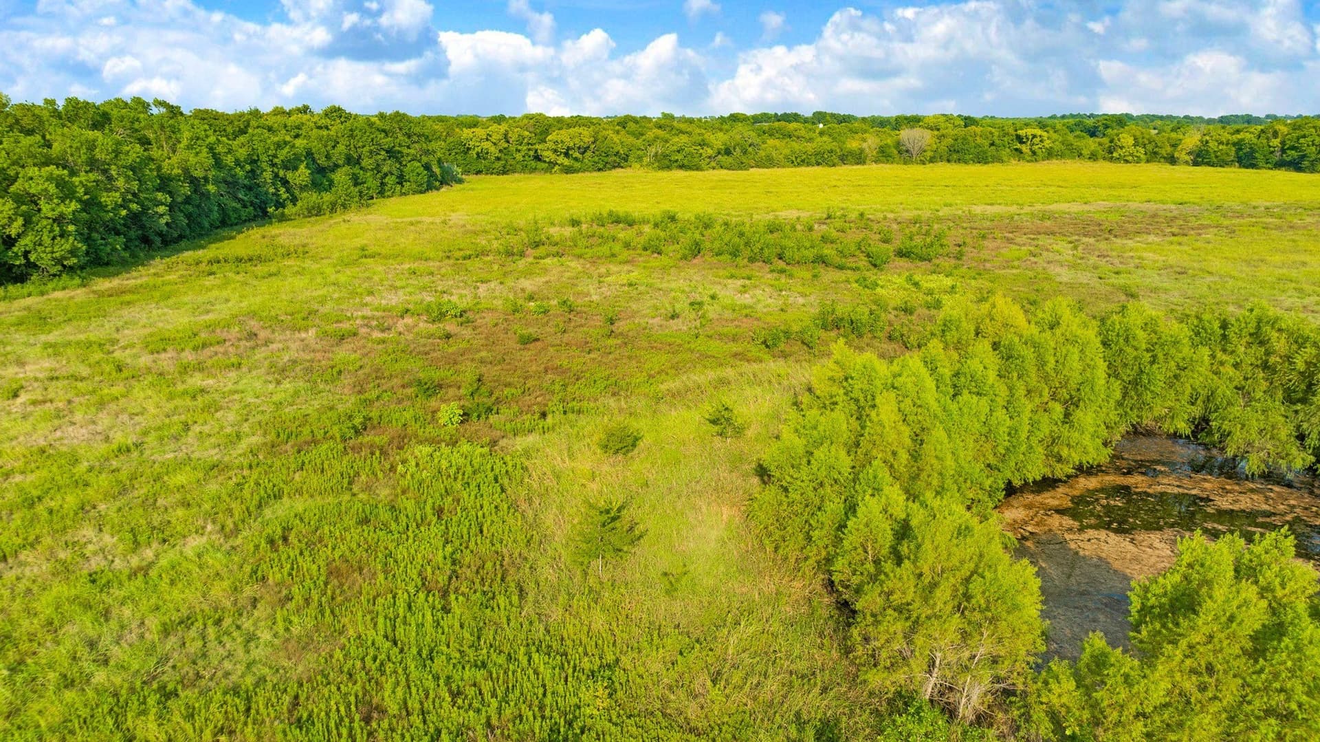 62 acres in Lamar County - photo 6