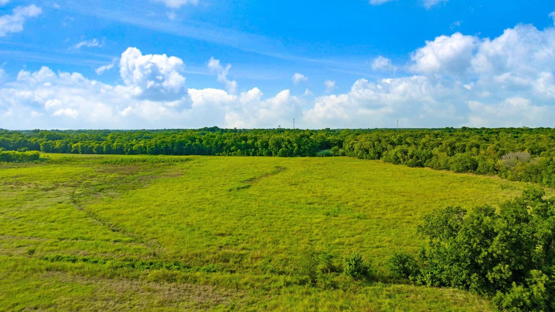 62 acres in Lamar County - photo 3