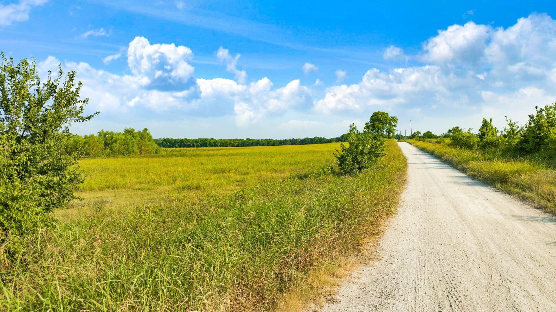 62 acres in Lamar County - photo 12