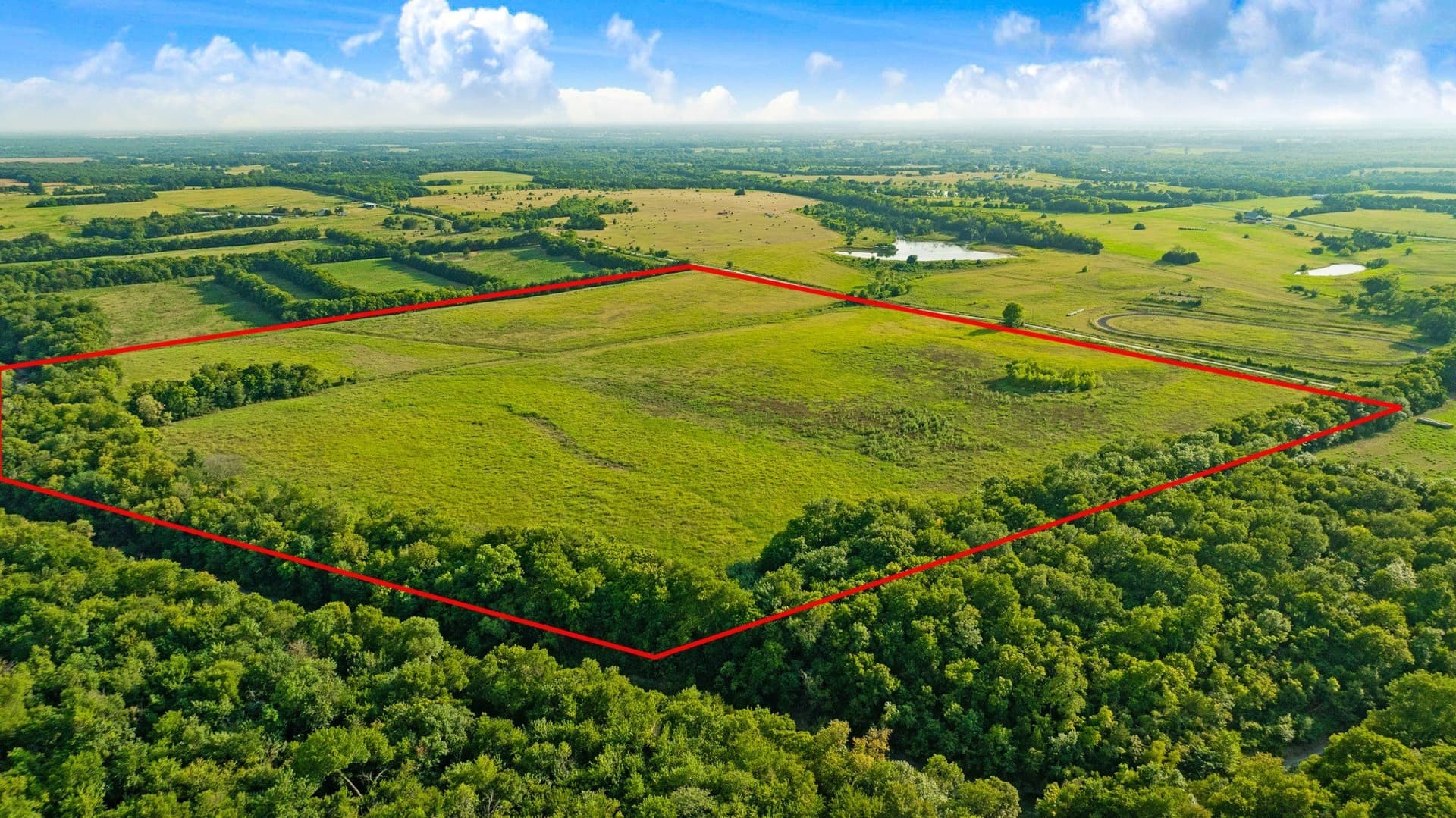 62 acres in Lamar County - photo 8
